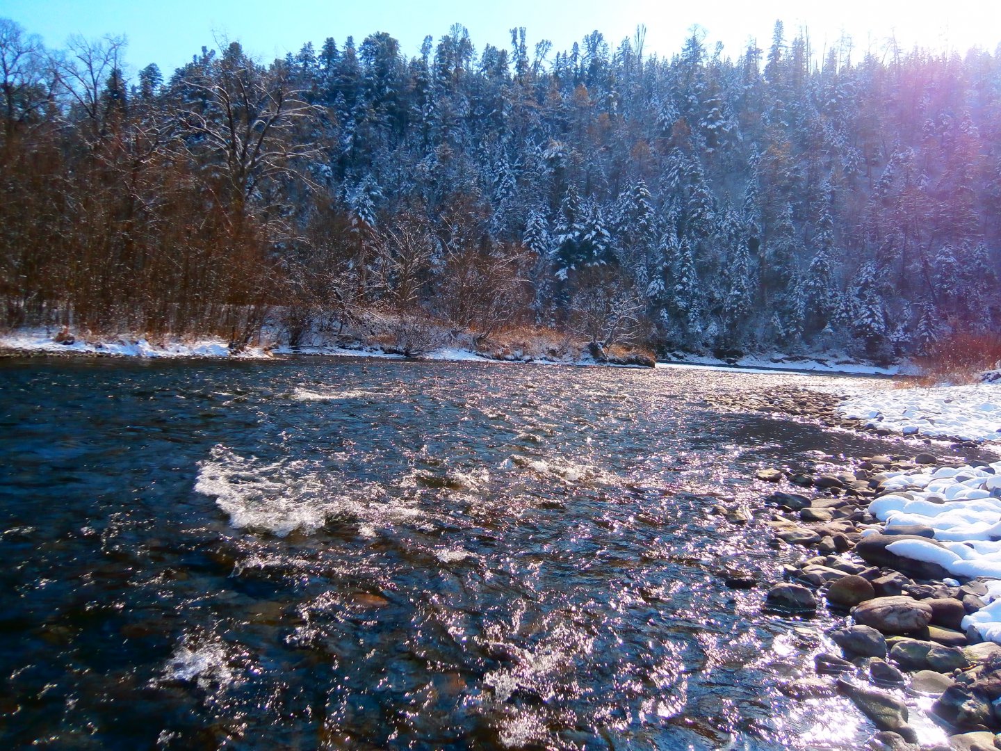 PA200125.JPG