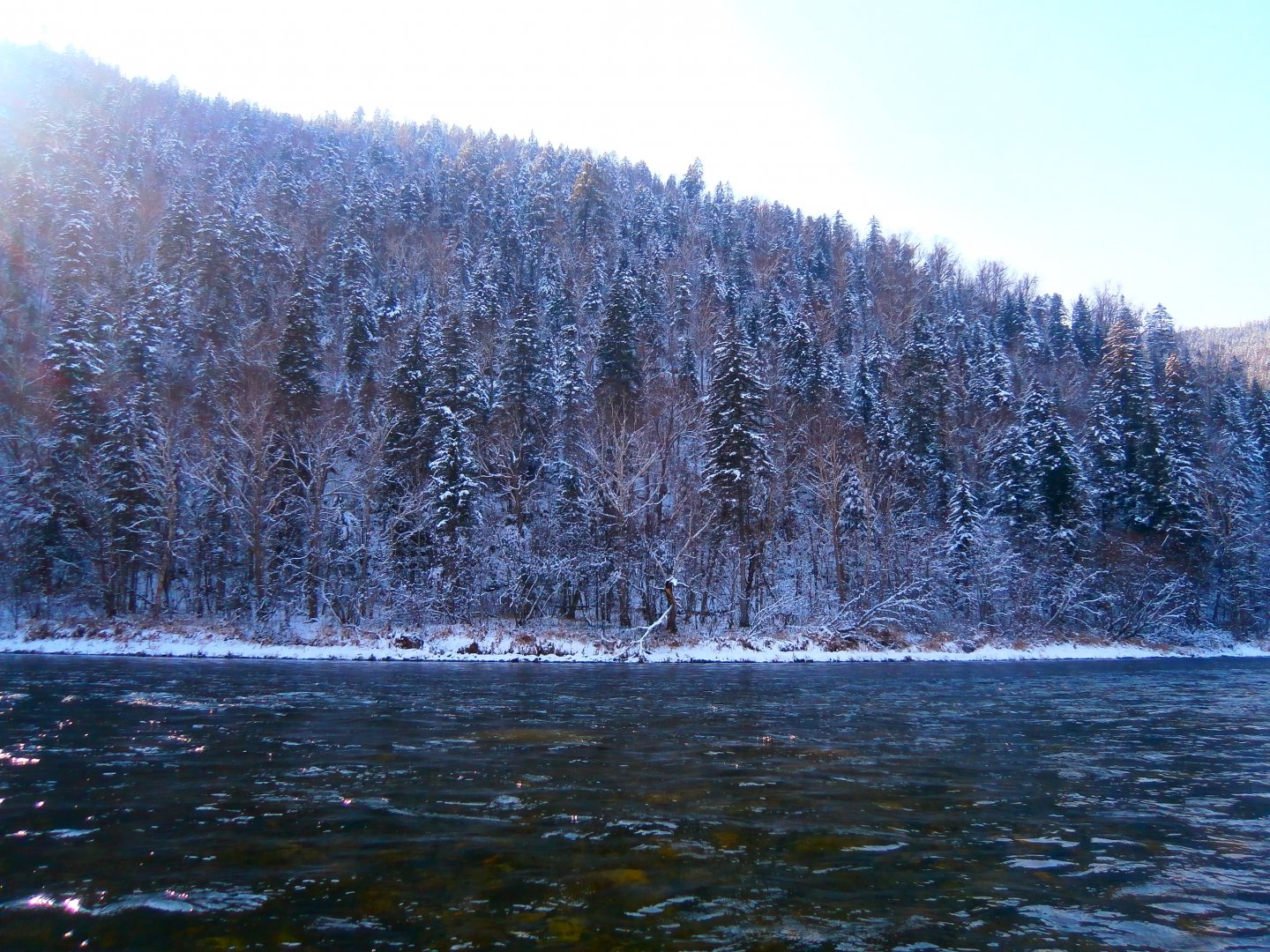 PA200128.JPG