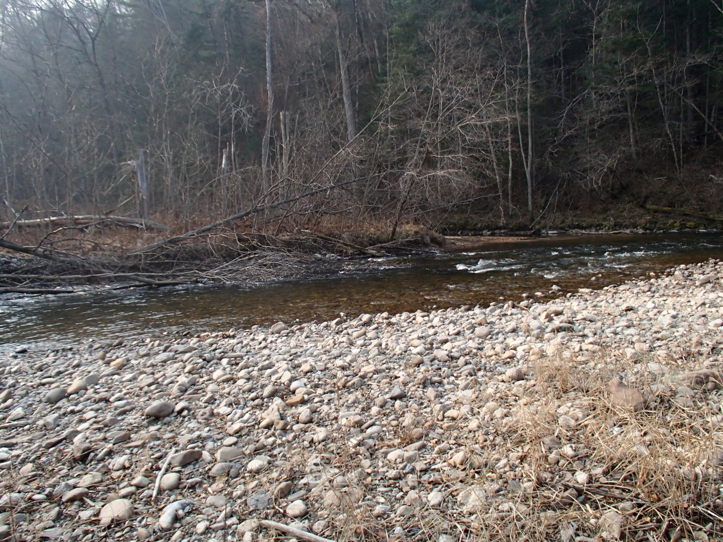PA200437.JPG