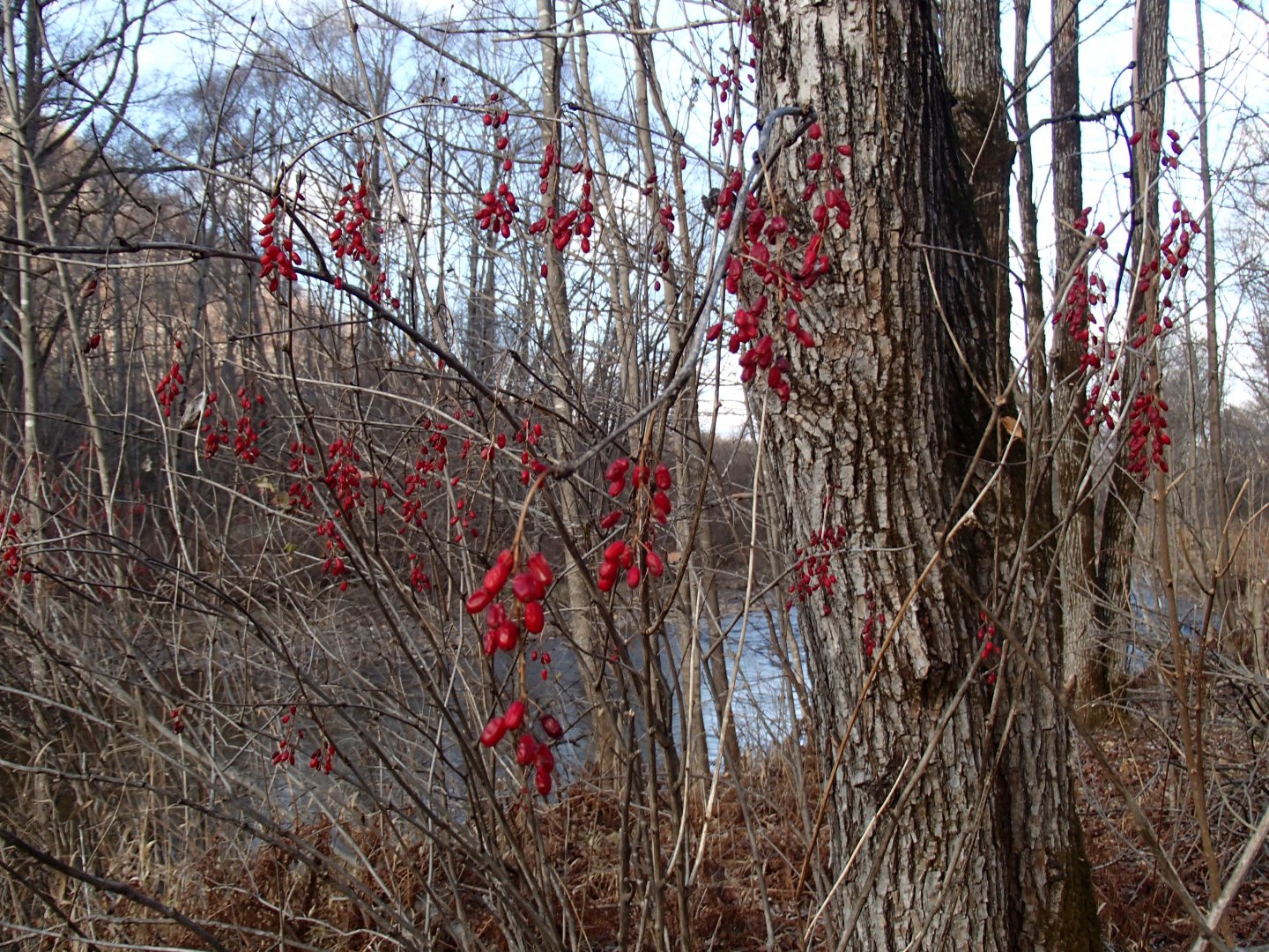 PA210446.JPG