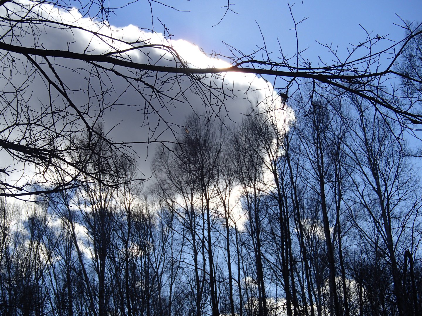 PA210454.JPG