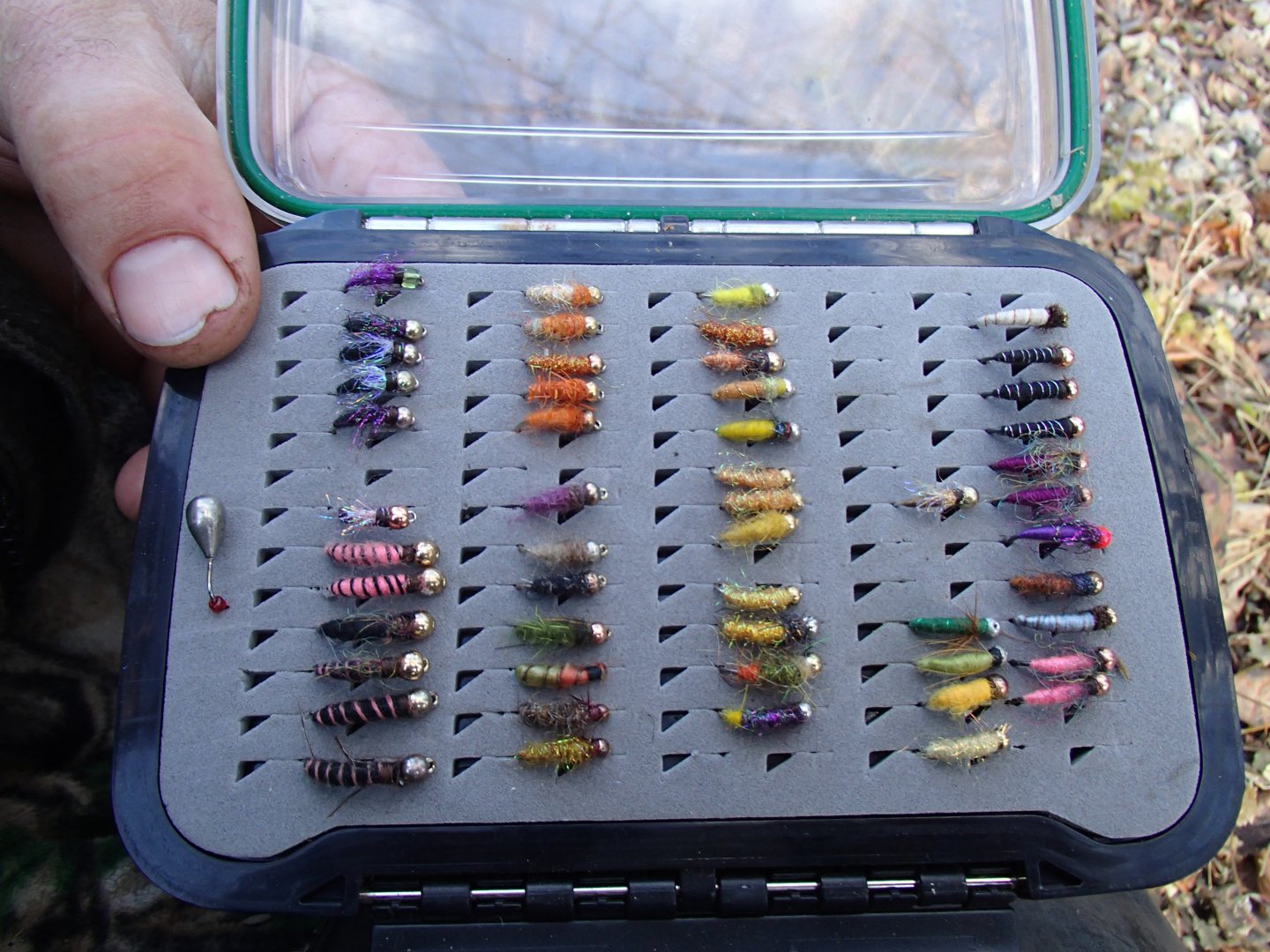 PA210455.JPG