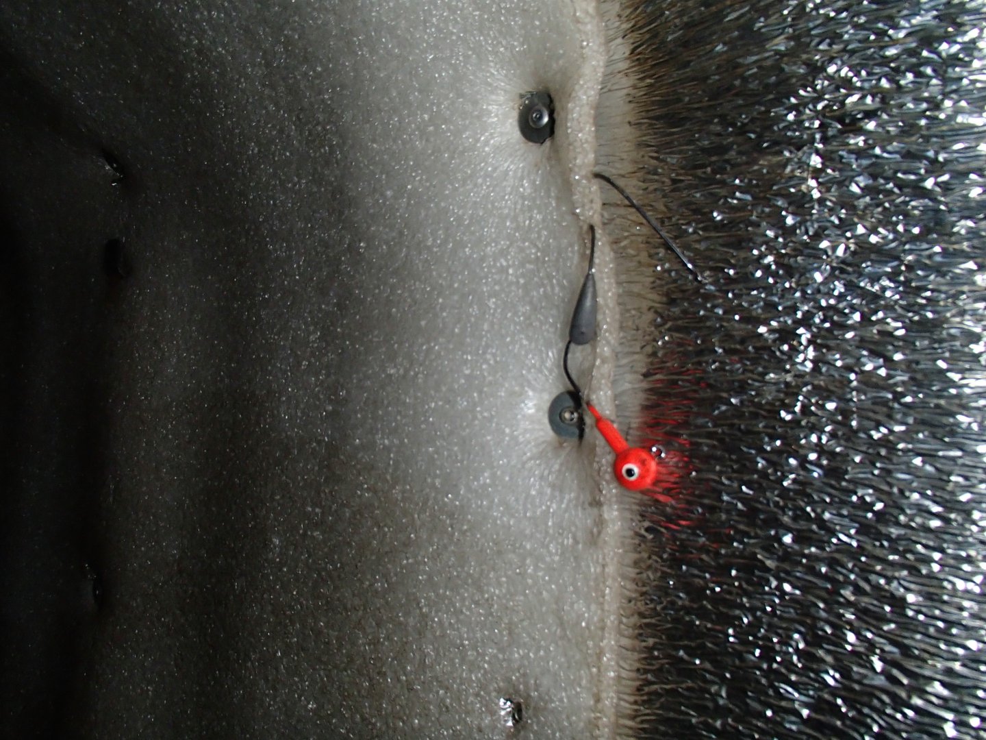 PA220485.JPG