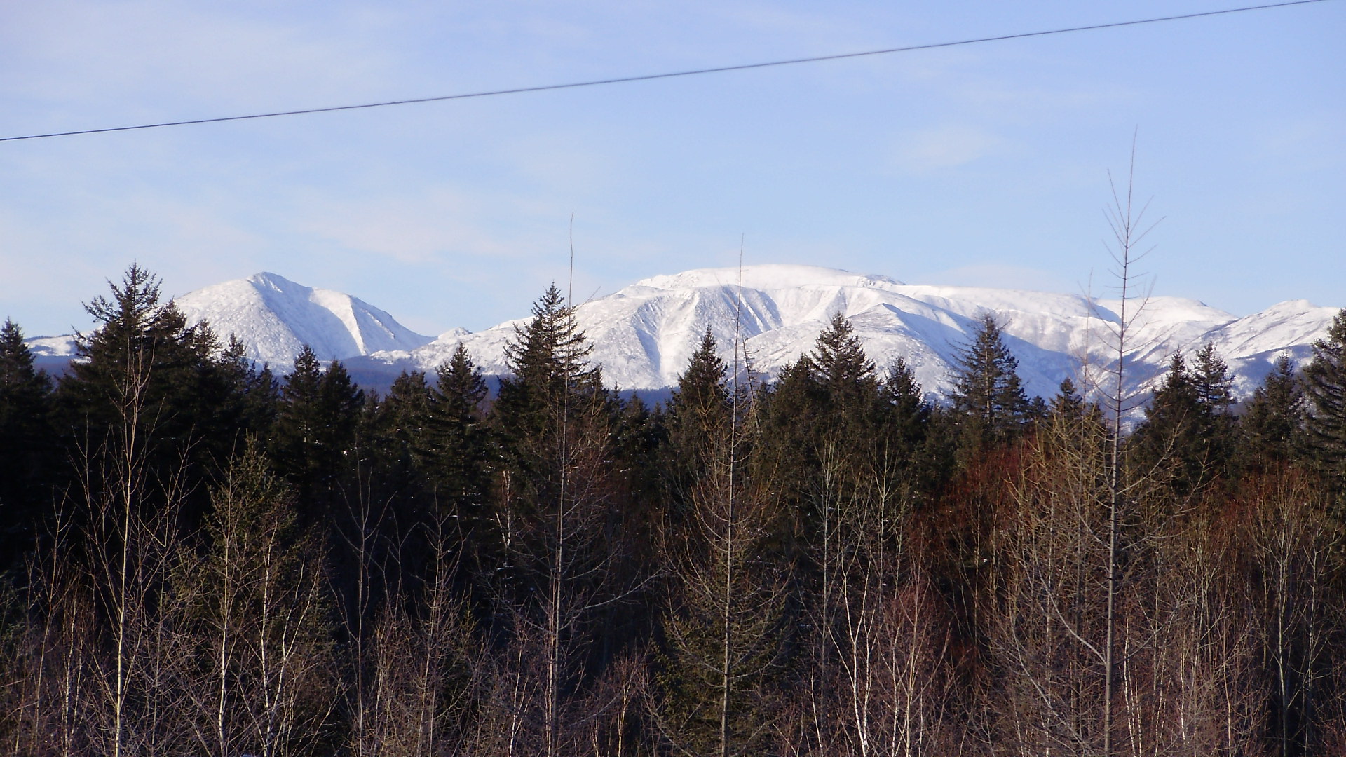 PA230243.JPG