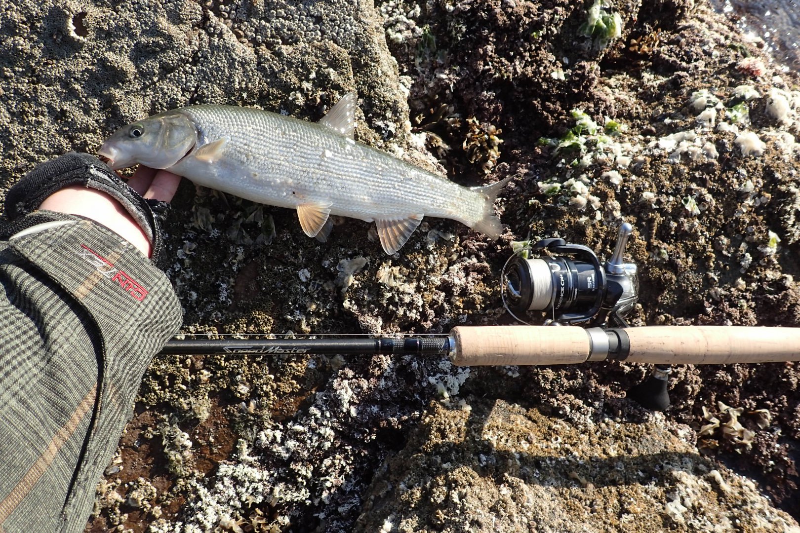 PA230292.JPG