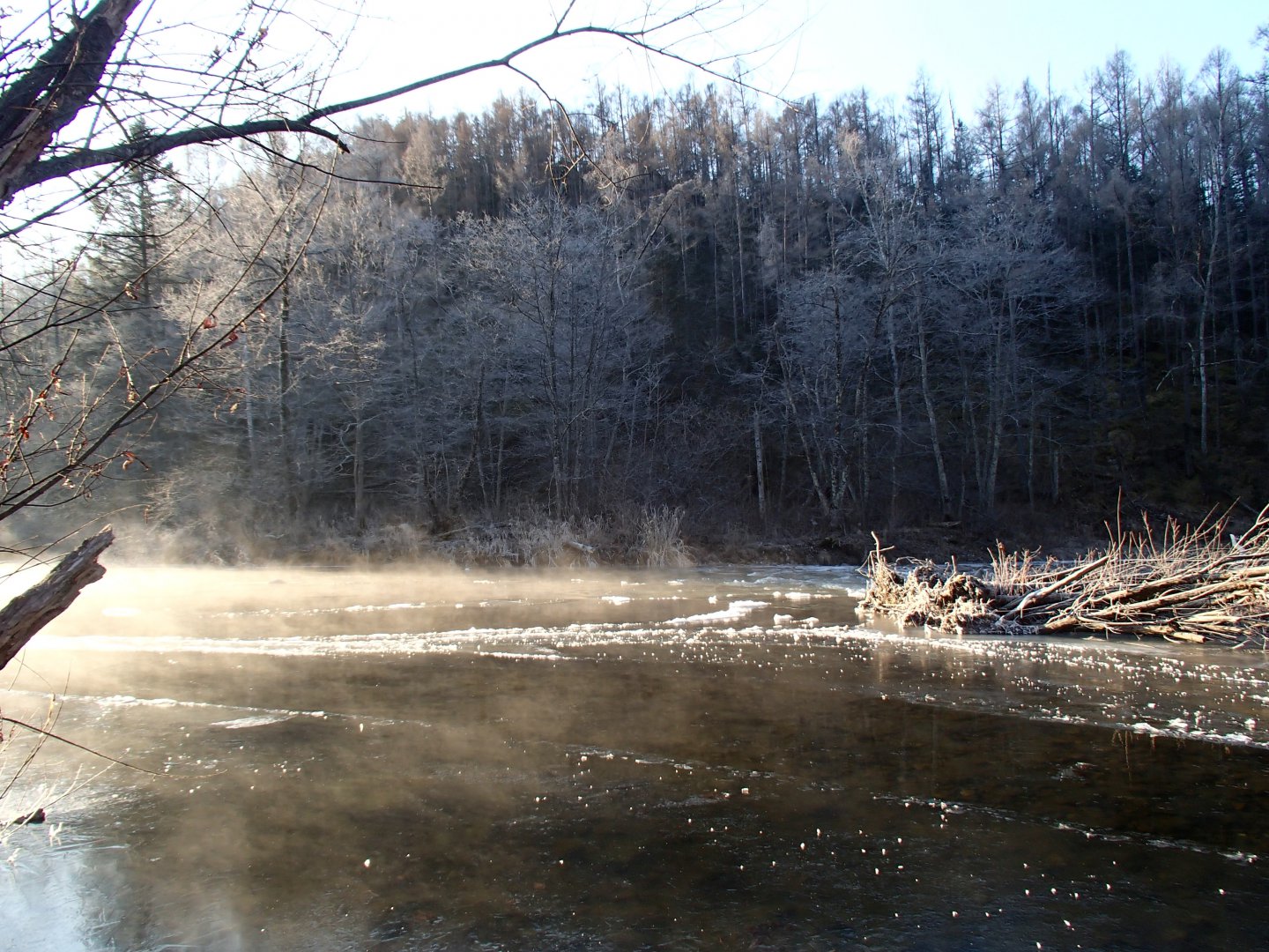 PA230486.JPG