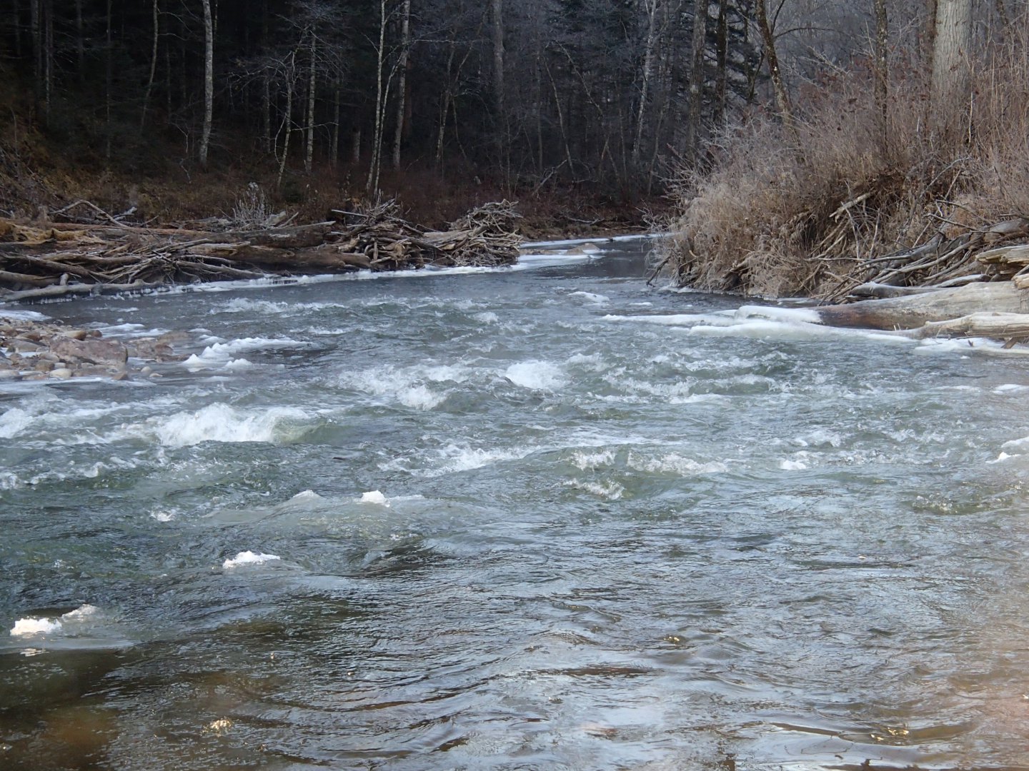 PA230489.JPG