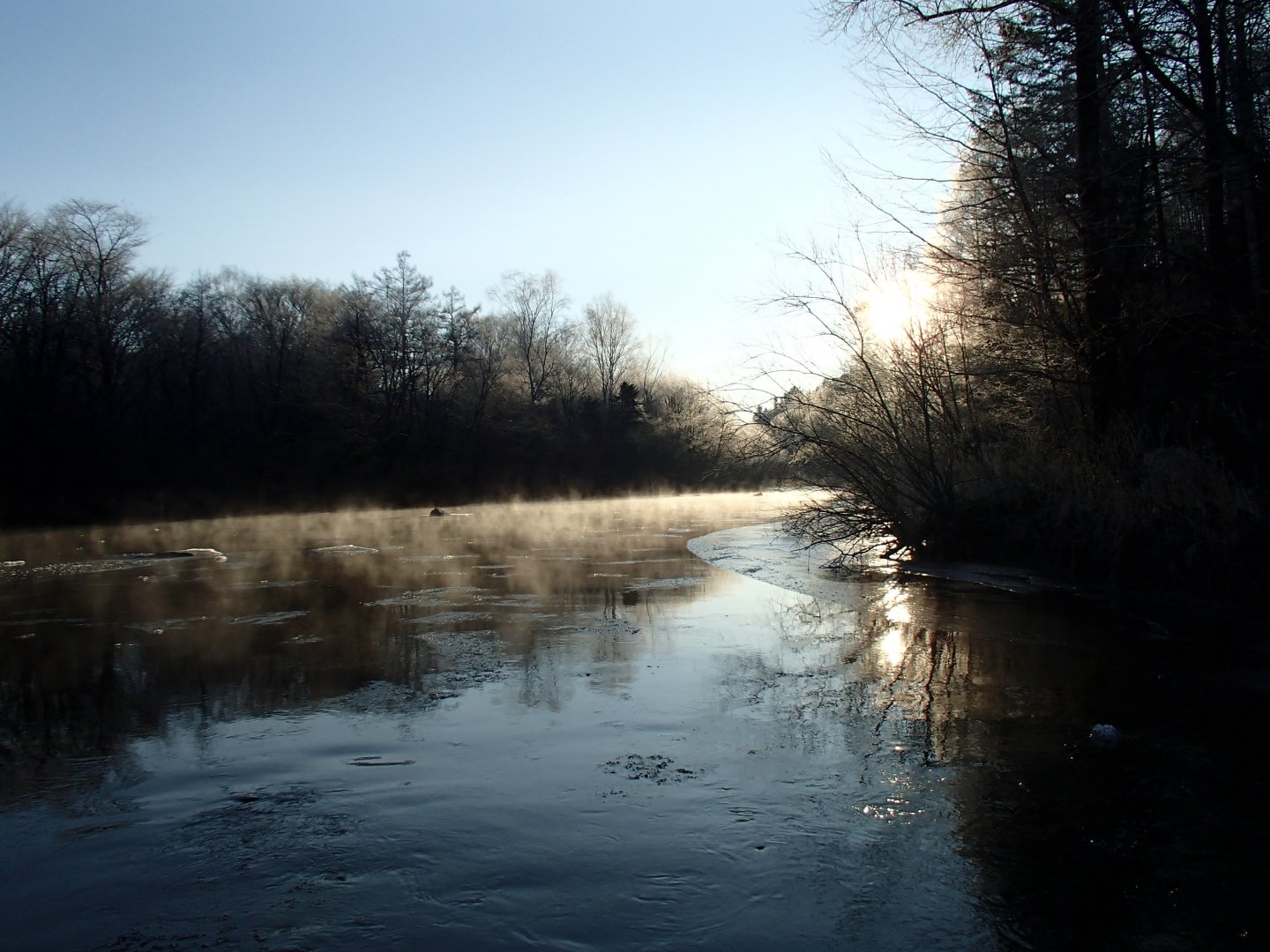 PA230491.JPG