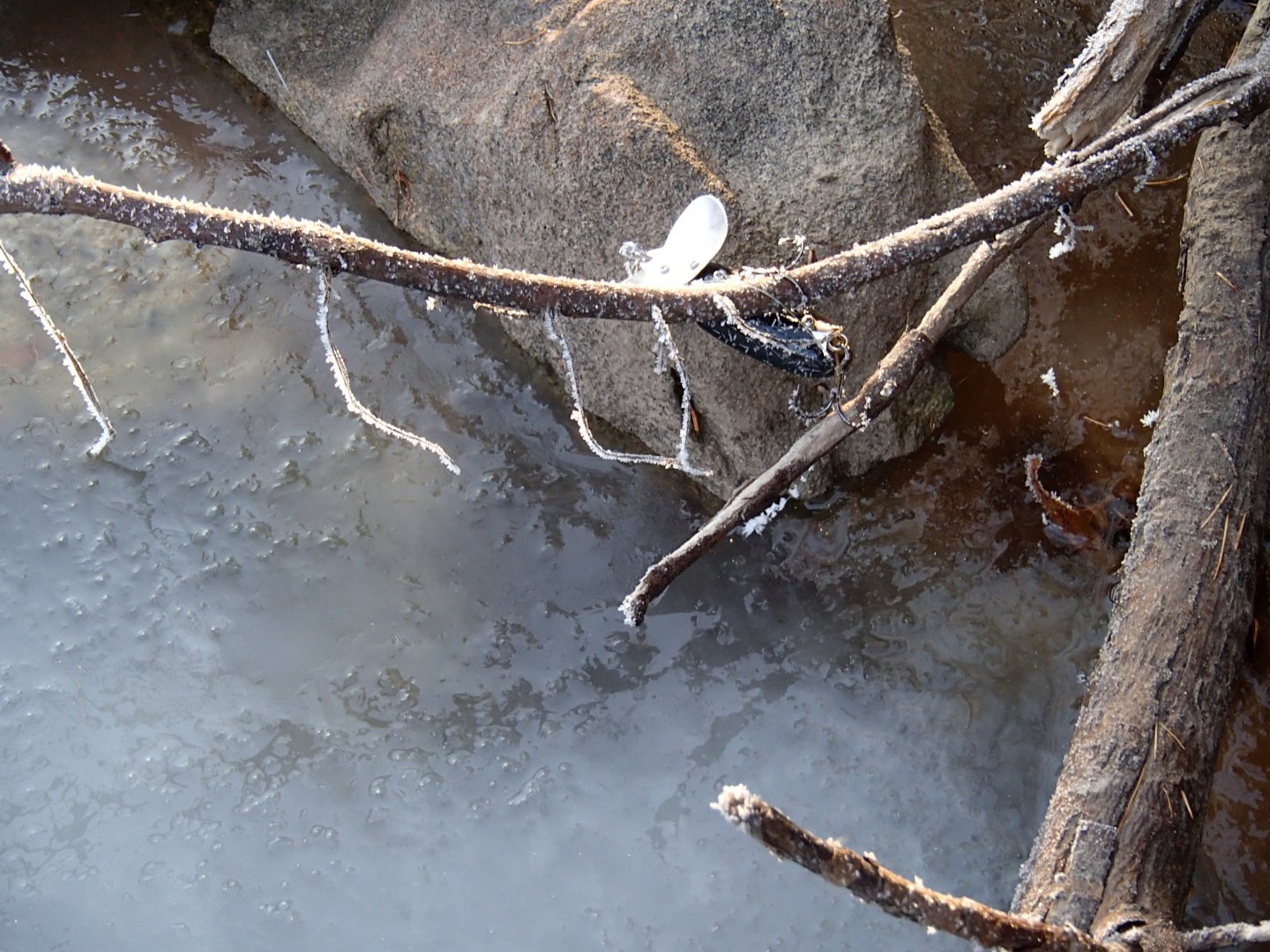 PA230492.JPG