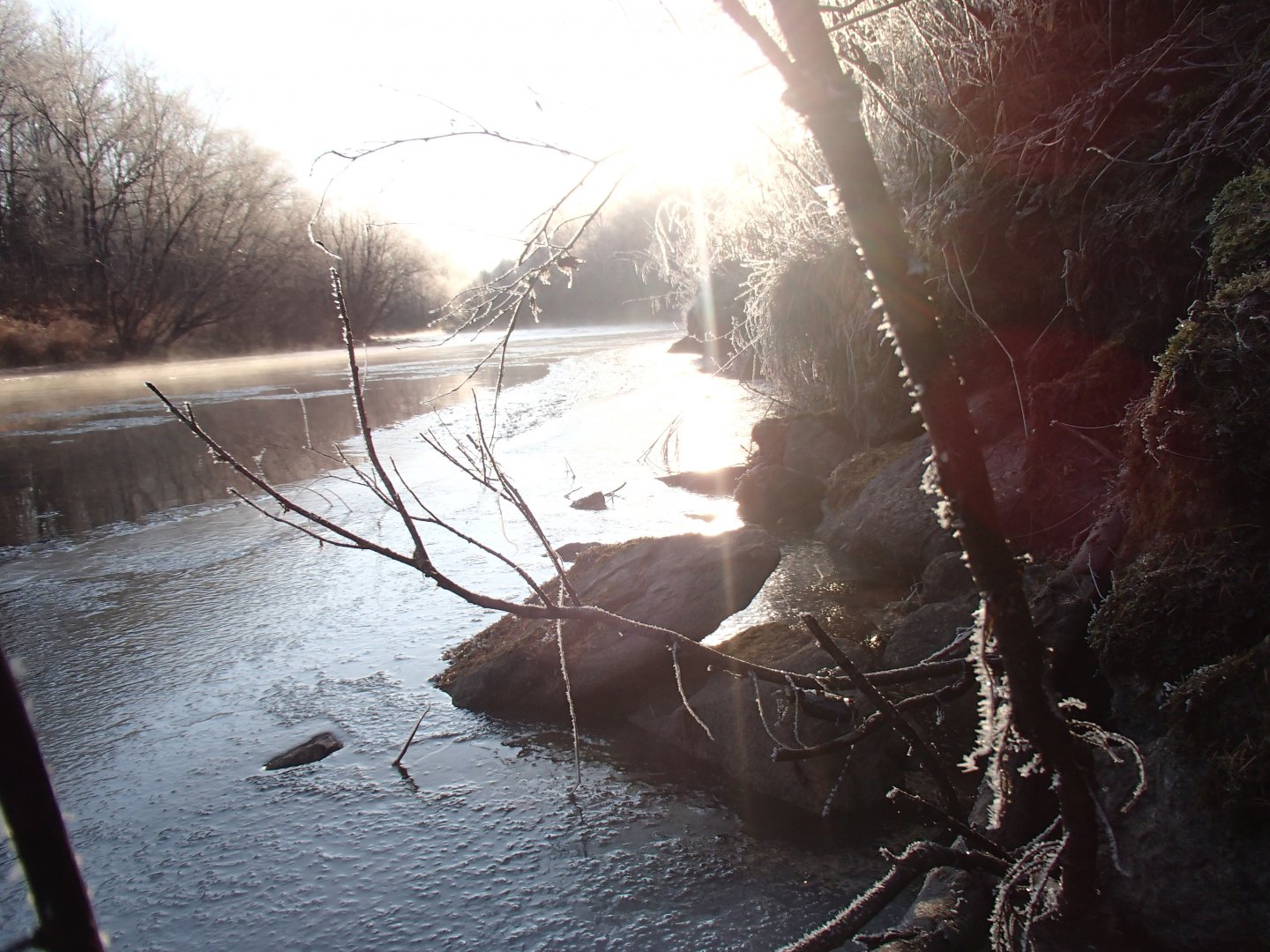 PA230494.JPG