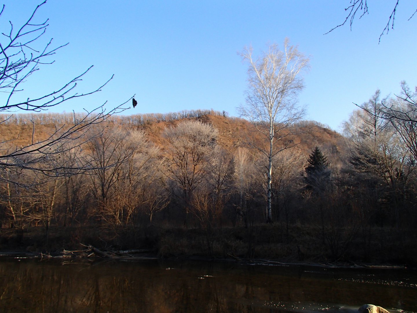 PA230496.JPG