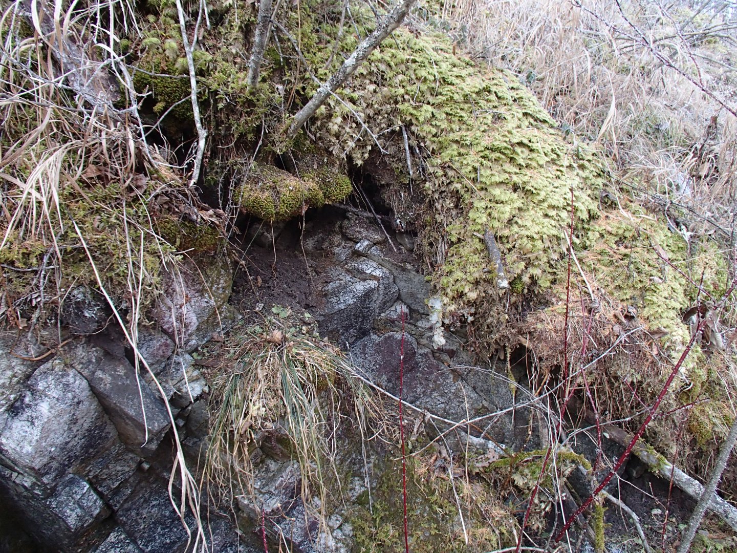 PA230499.JPG