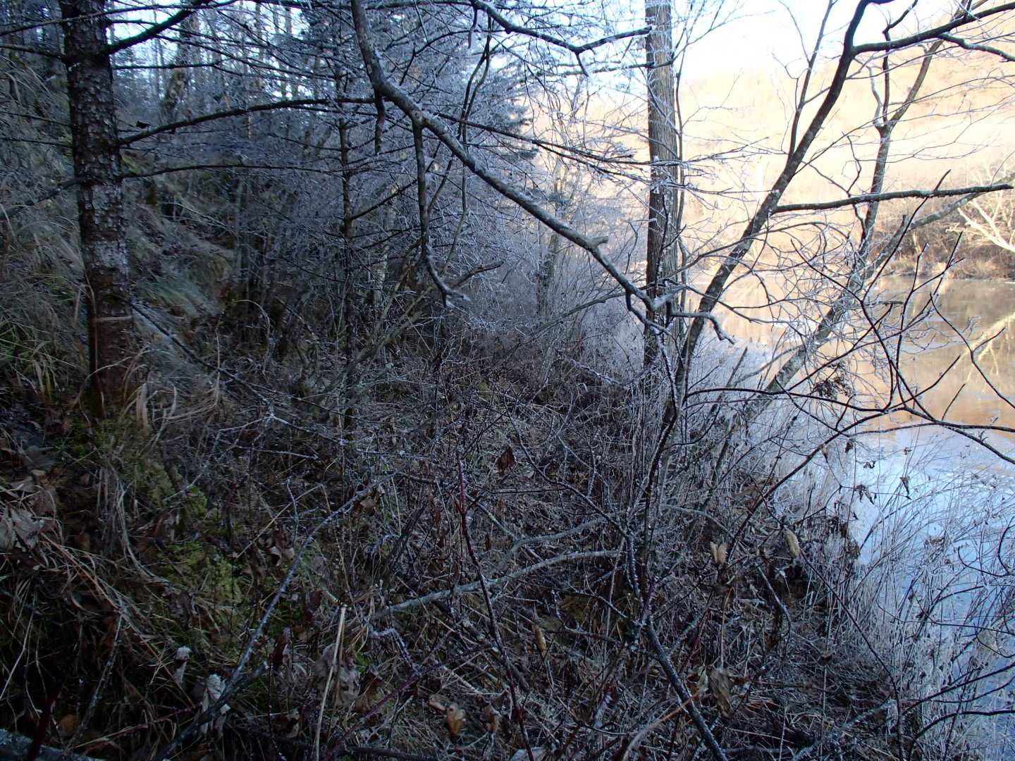 PA230500.JPG