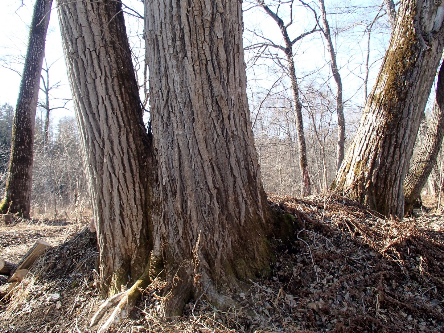 PA230513.JPG