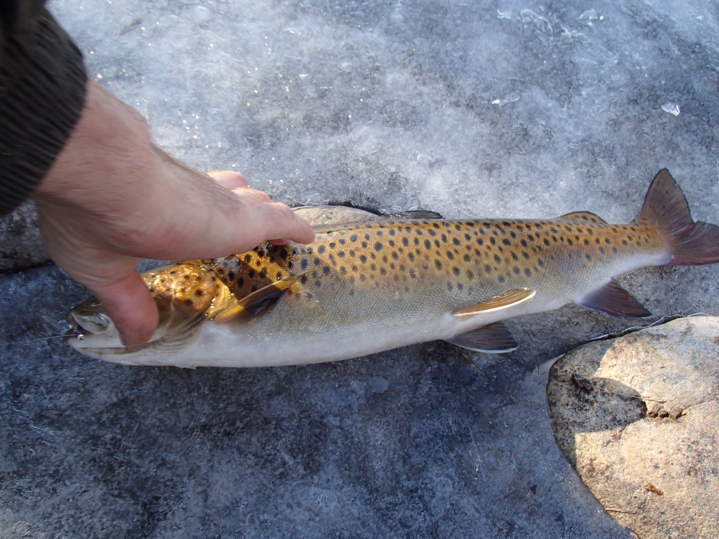 PA230517.JPG
