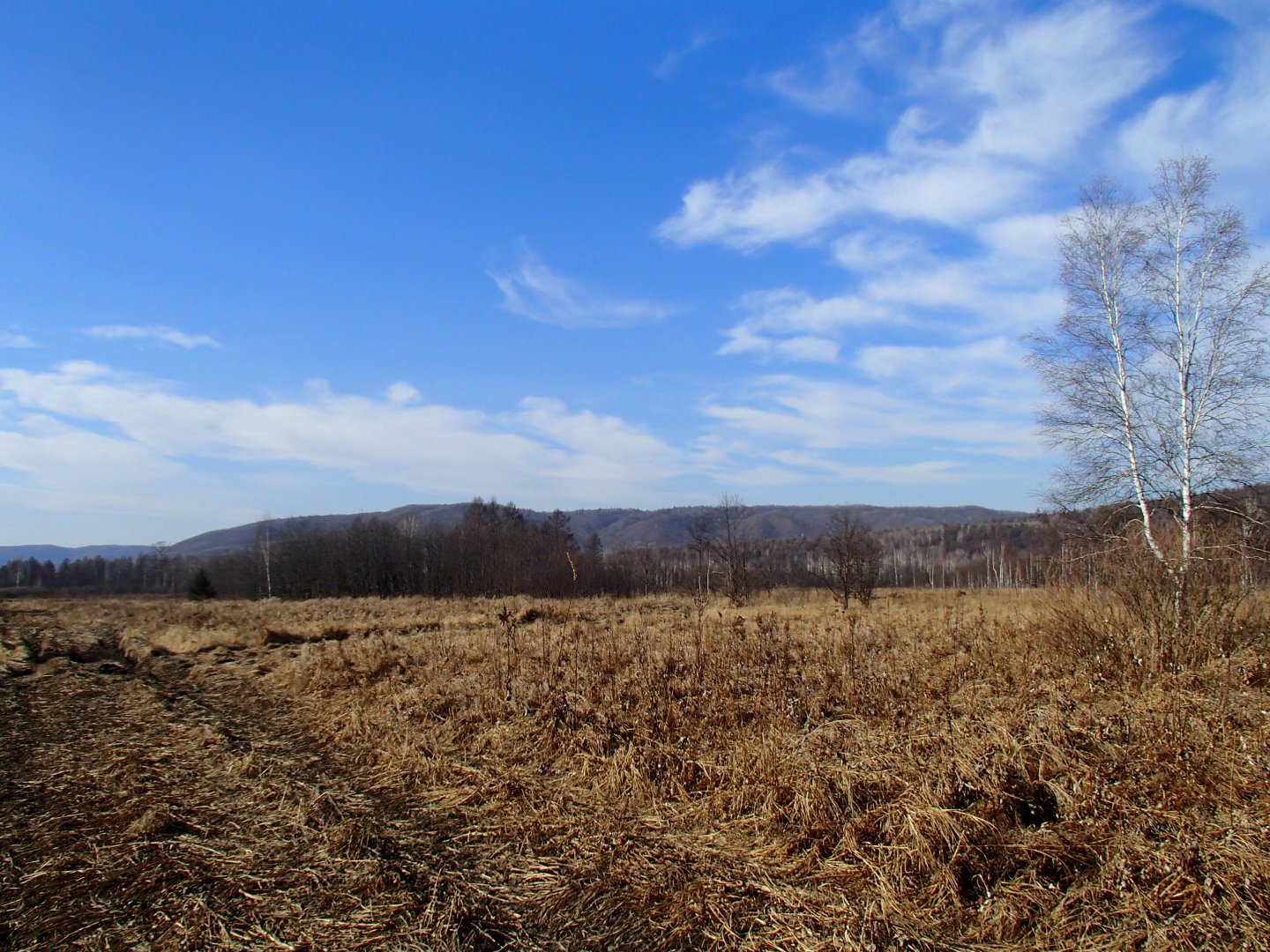 PA240528.JPG