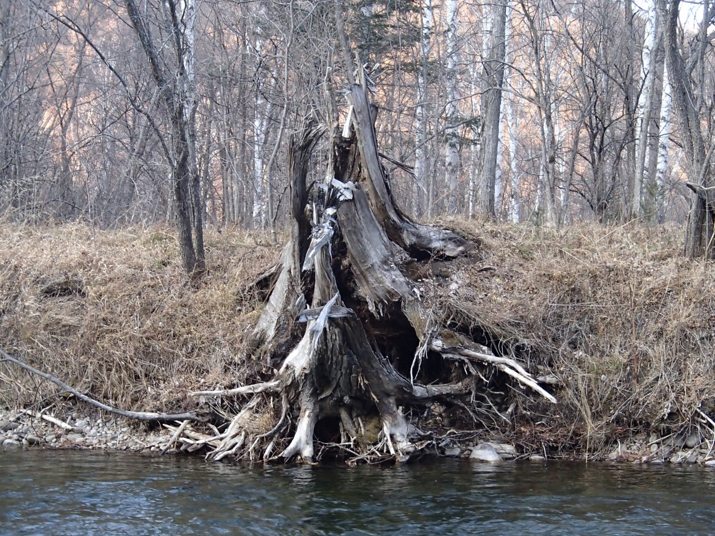 PA250545.JPG