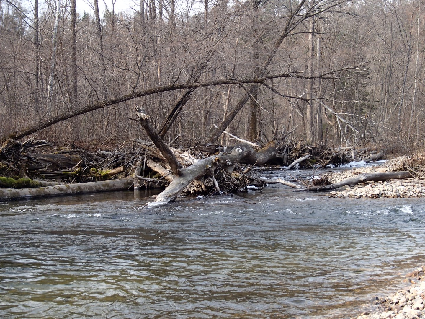 PA260555.JPG