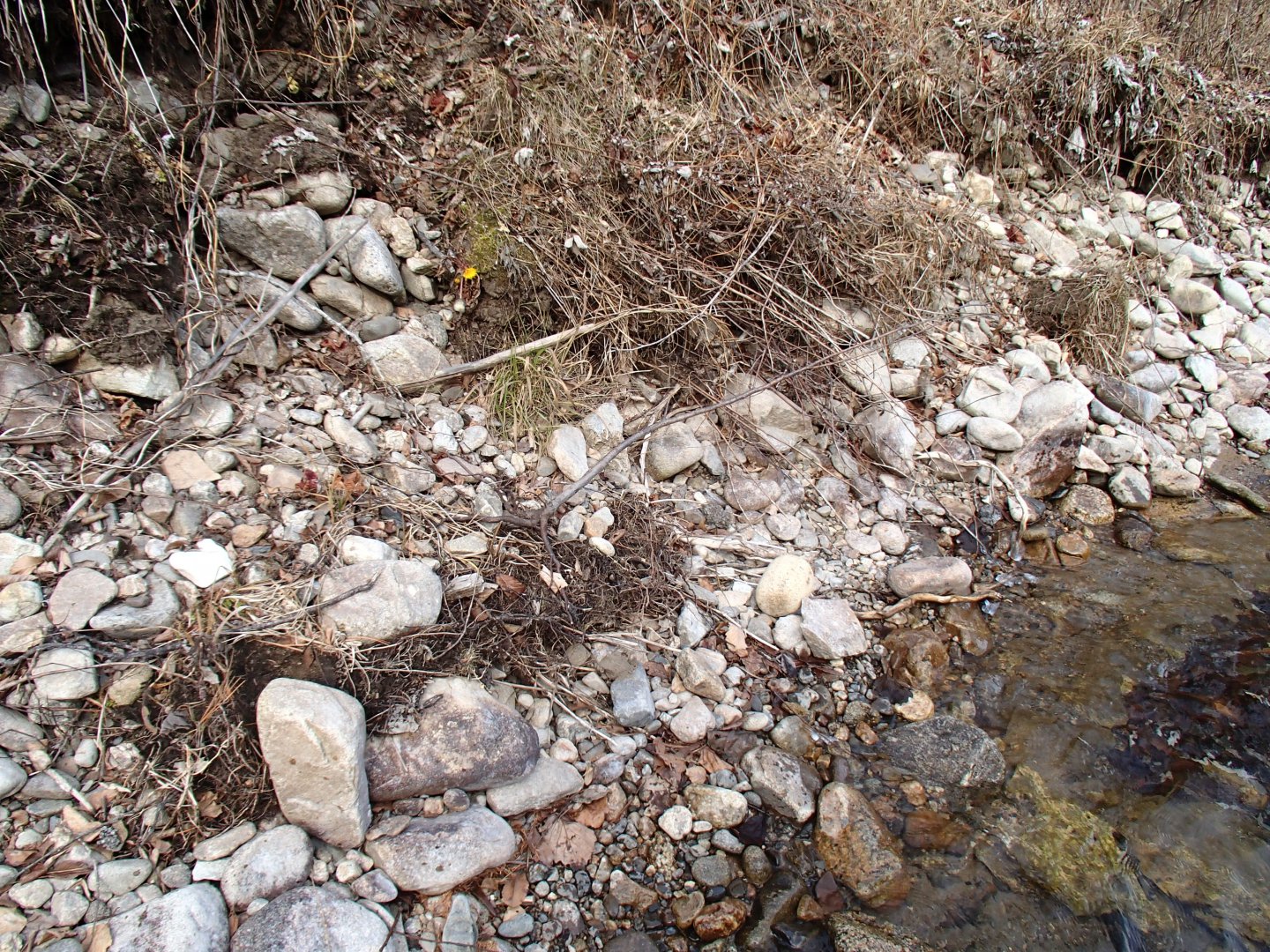 PA260560.JPG