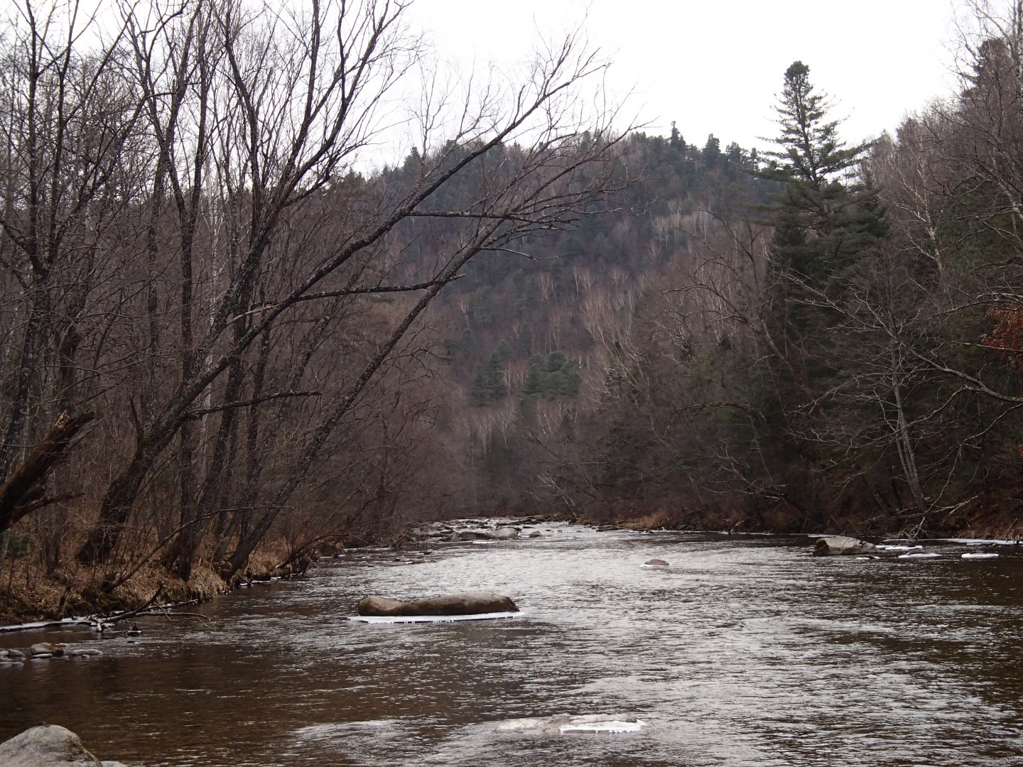 PA260561.JPG