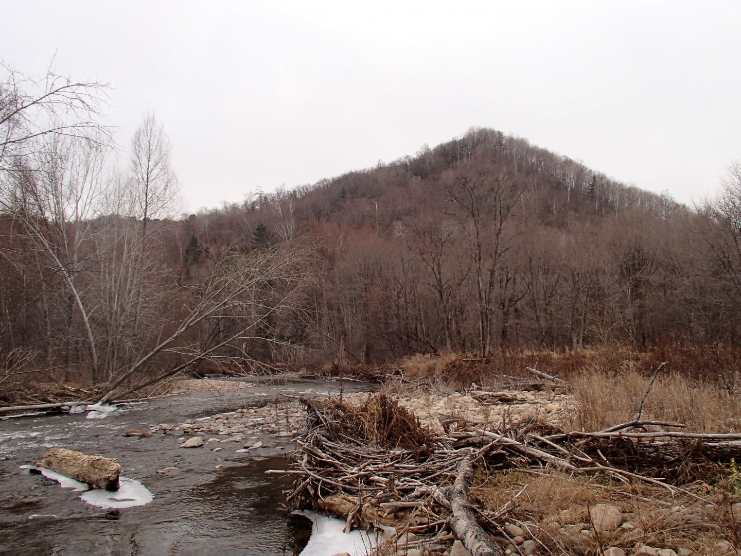 PA260570.JPG
