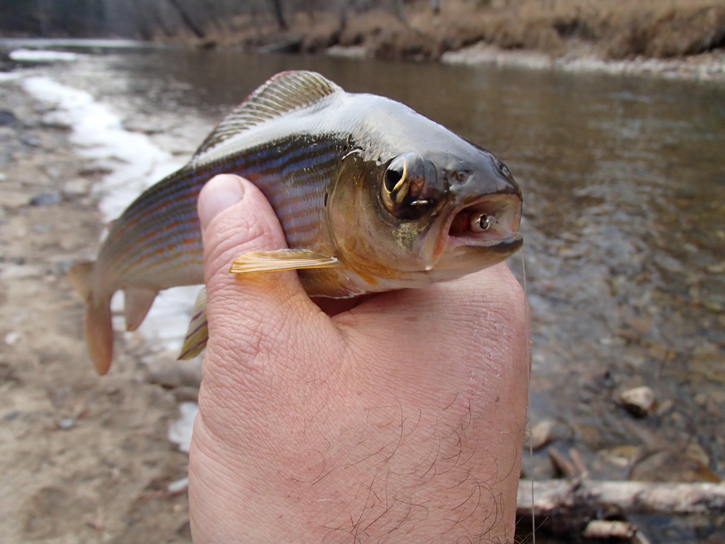 PA260577.JPG