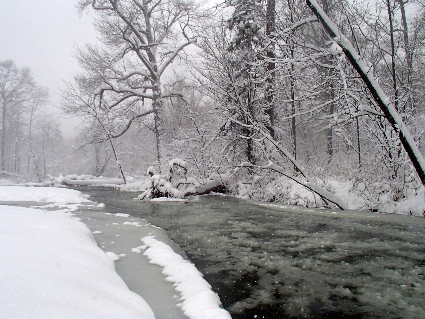PA270025.JPG