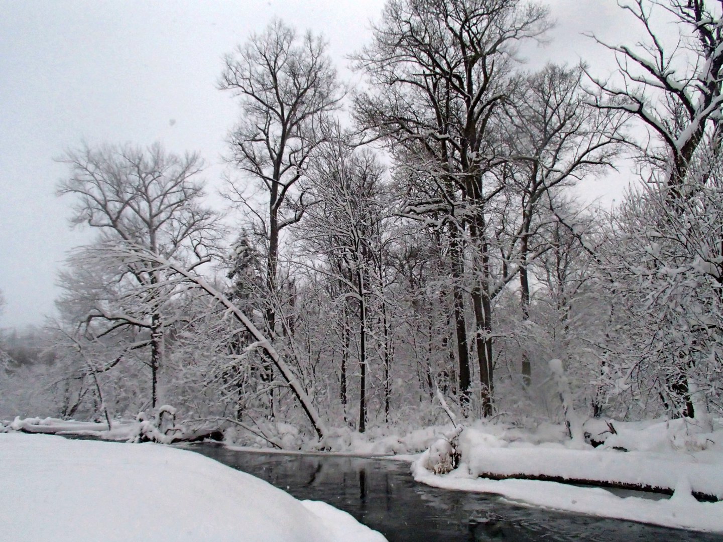 PA270027.JPG