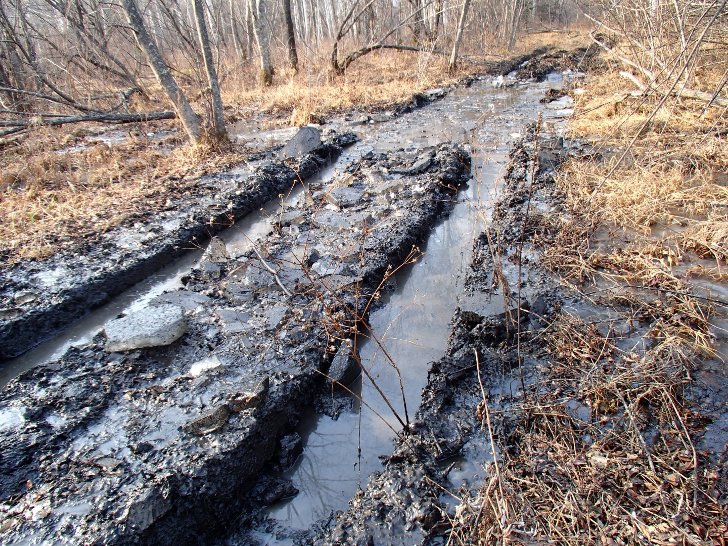 PA270588.JPG