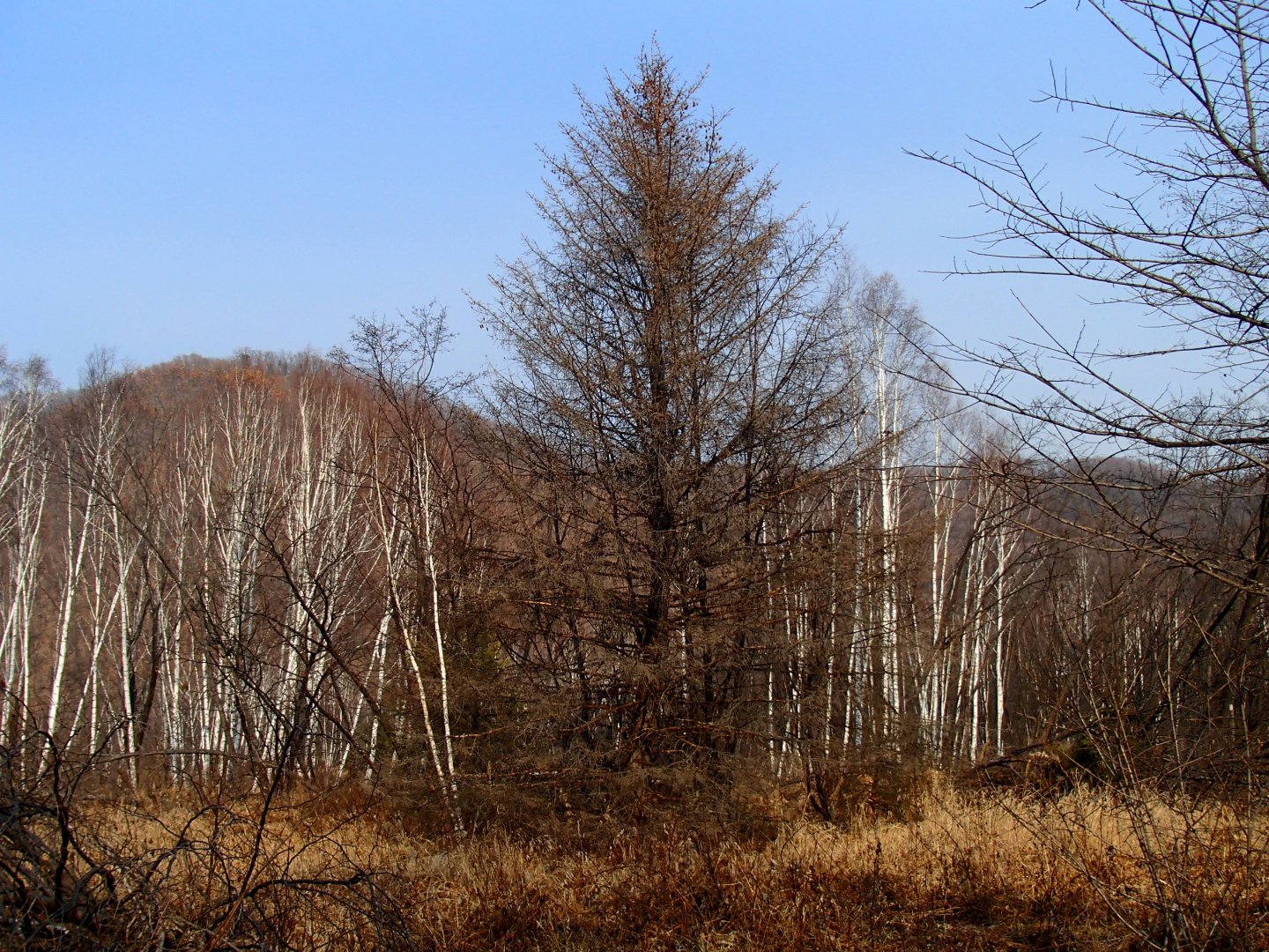 PA270589.JPG