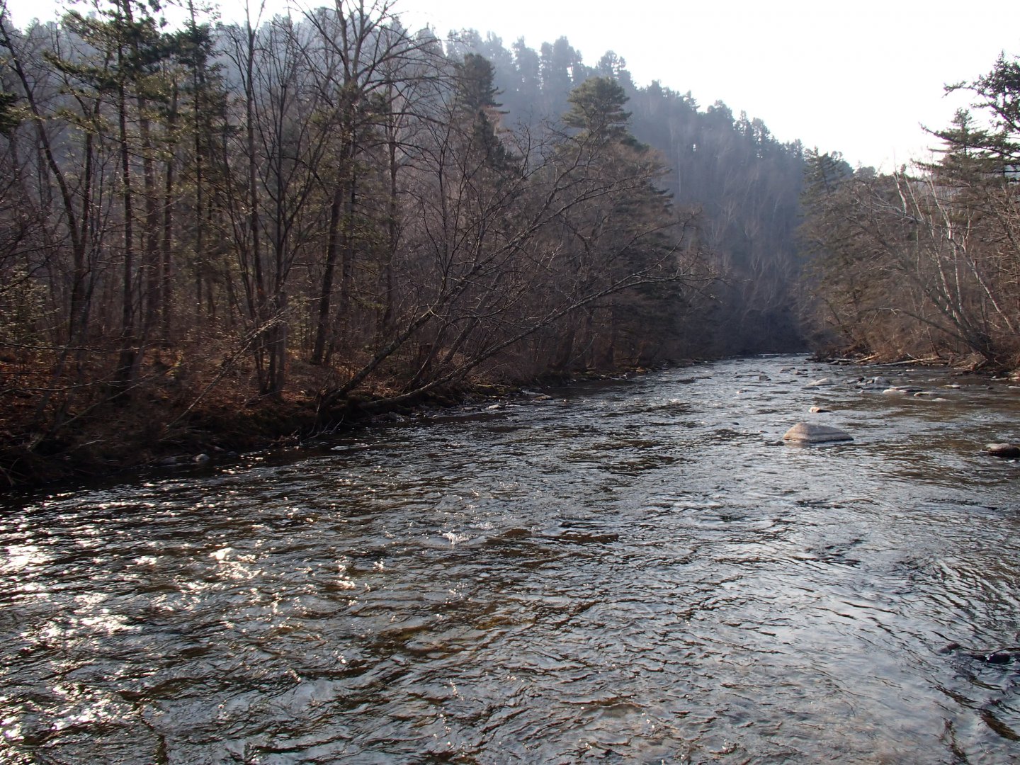 PA270591.JPG