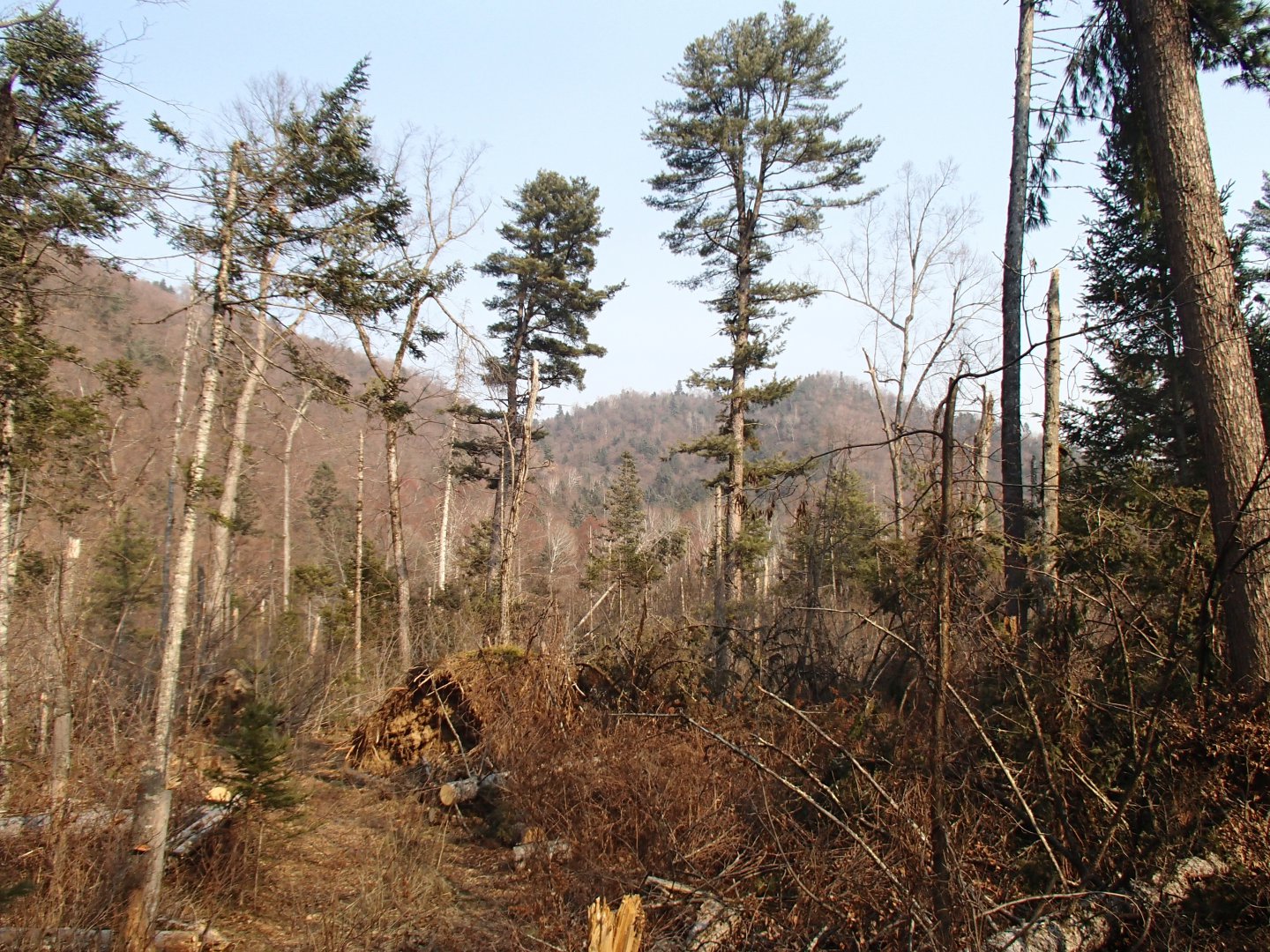 PA270593.JPG