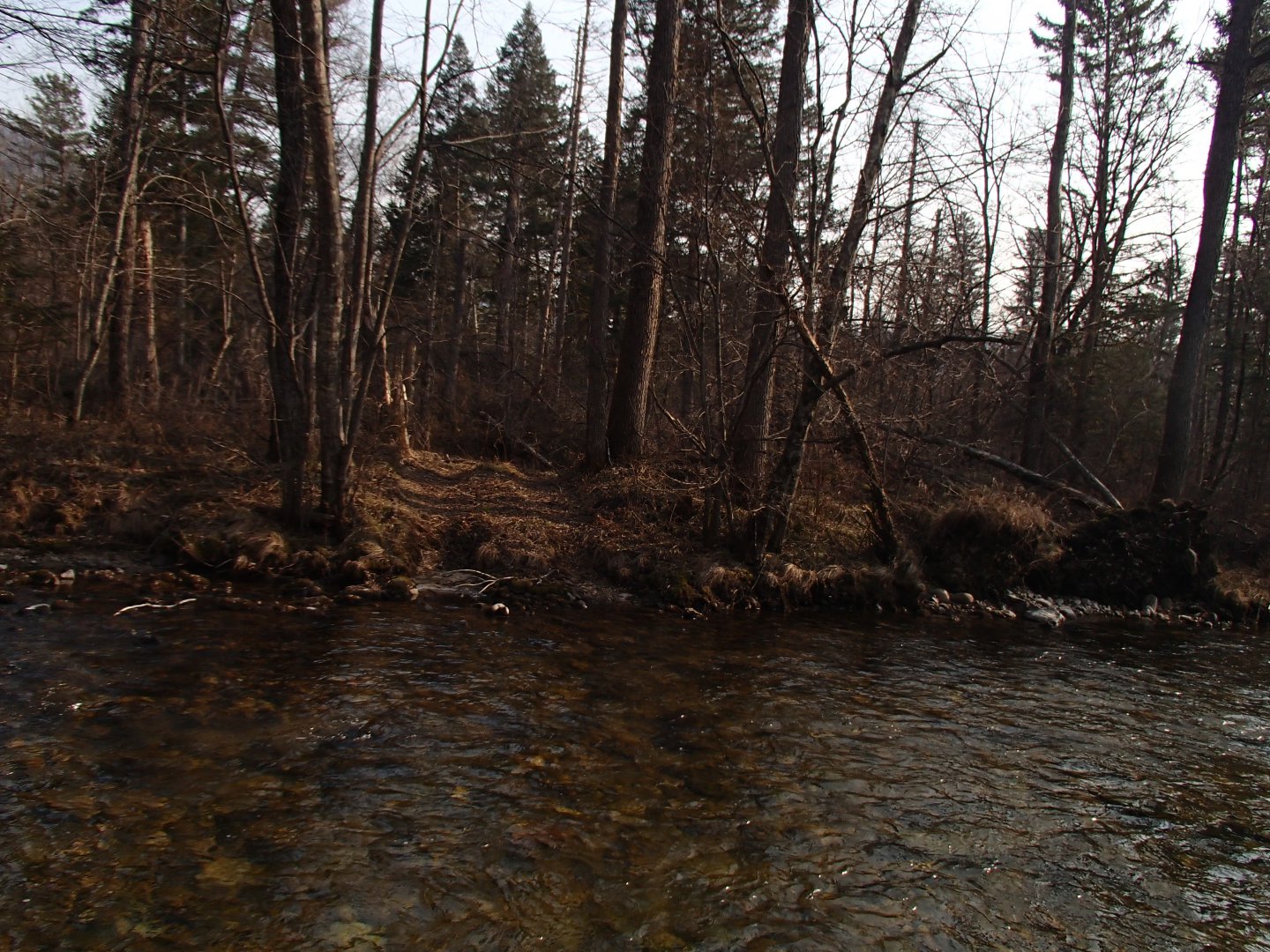 PA270598.JPG