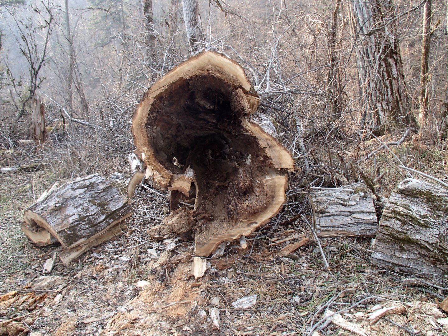 PA270605.JPG