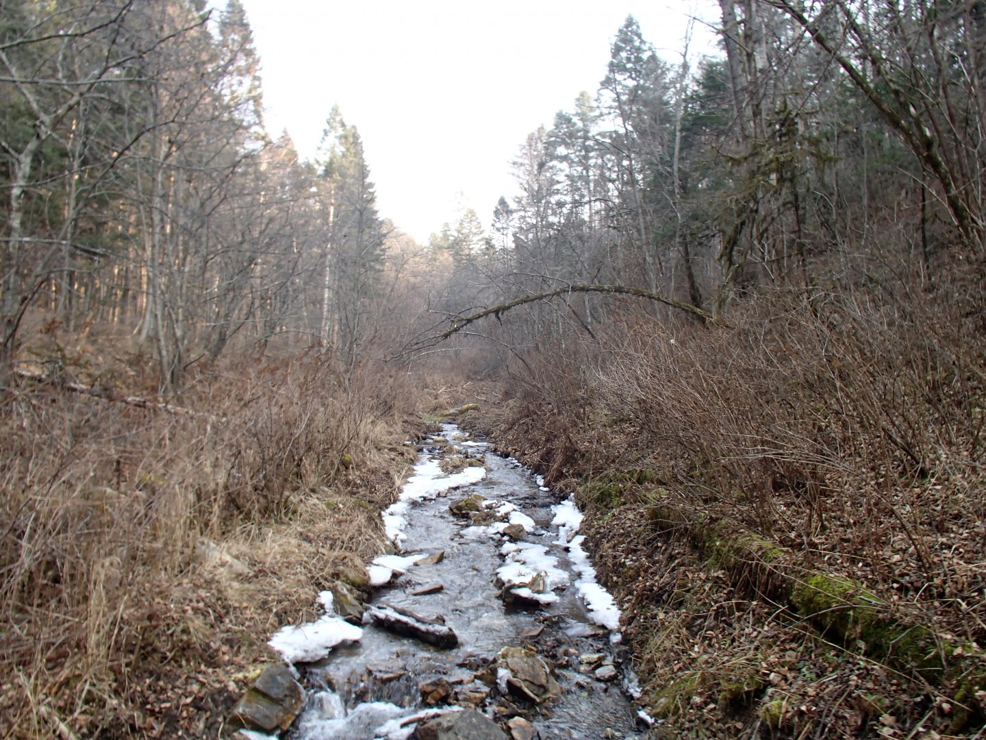 PA270610.JPG