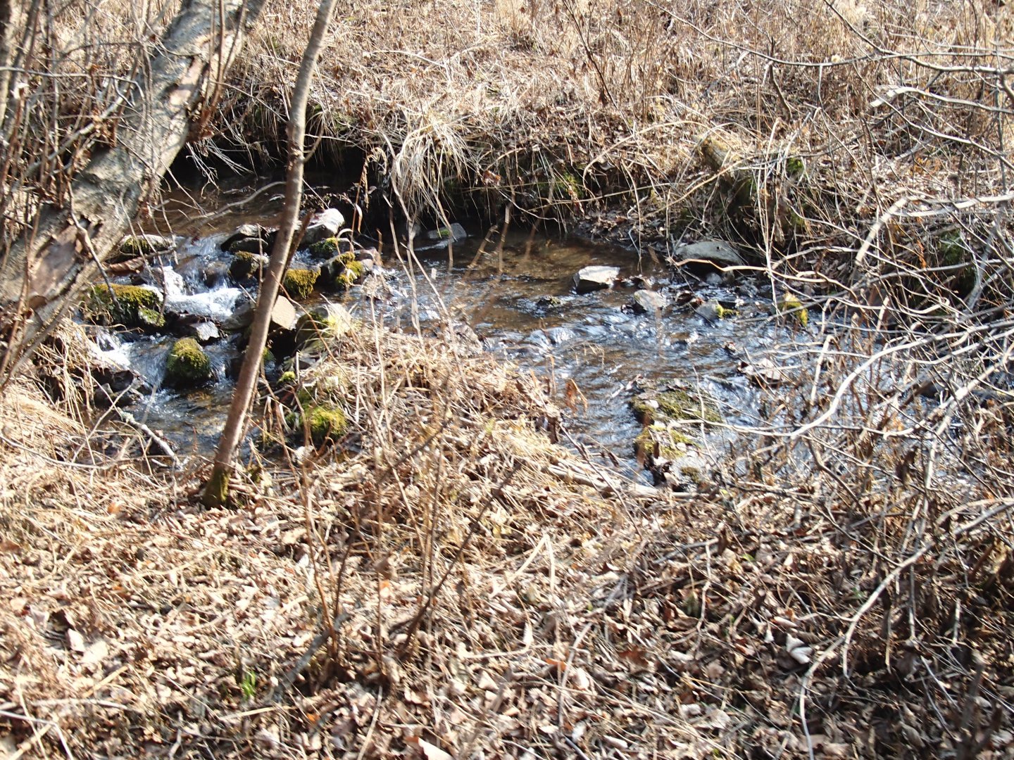 PA270614.JPG