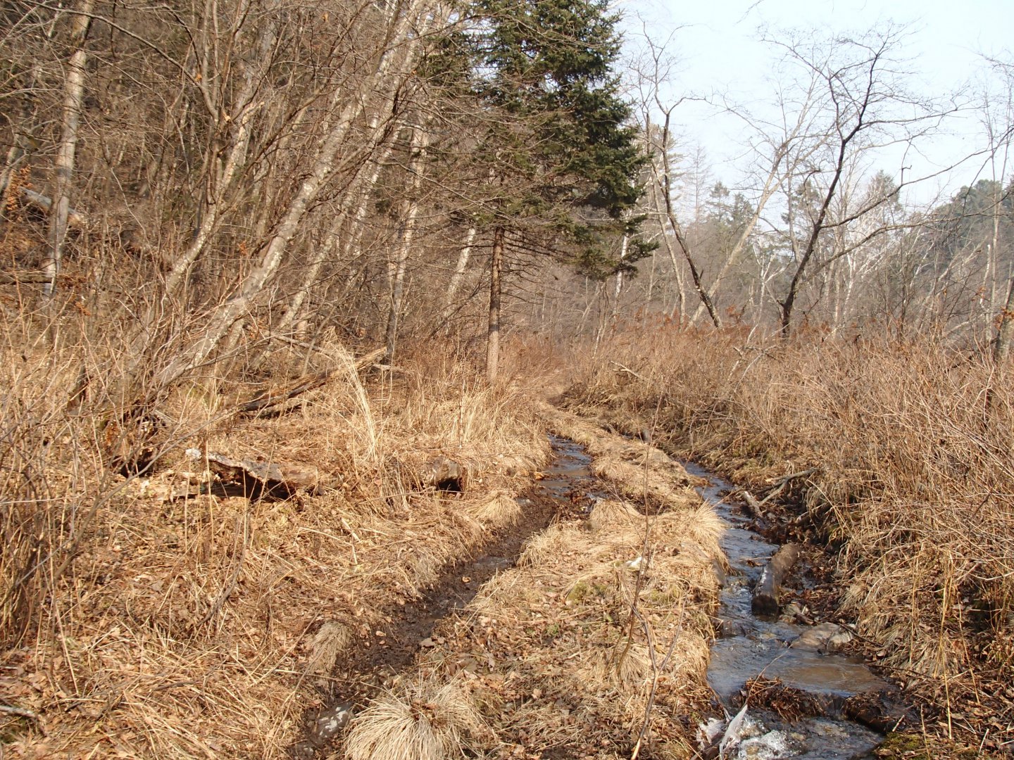 PA270617.JPG