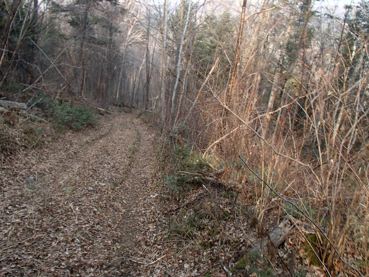 PA270622.JPG