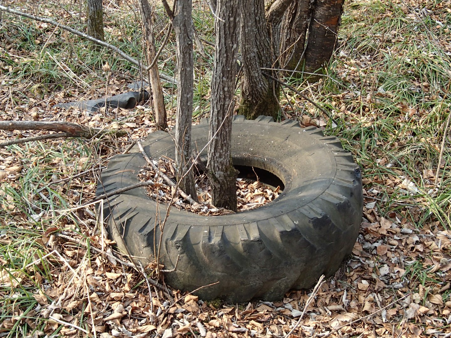 PA270627.JPG