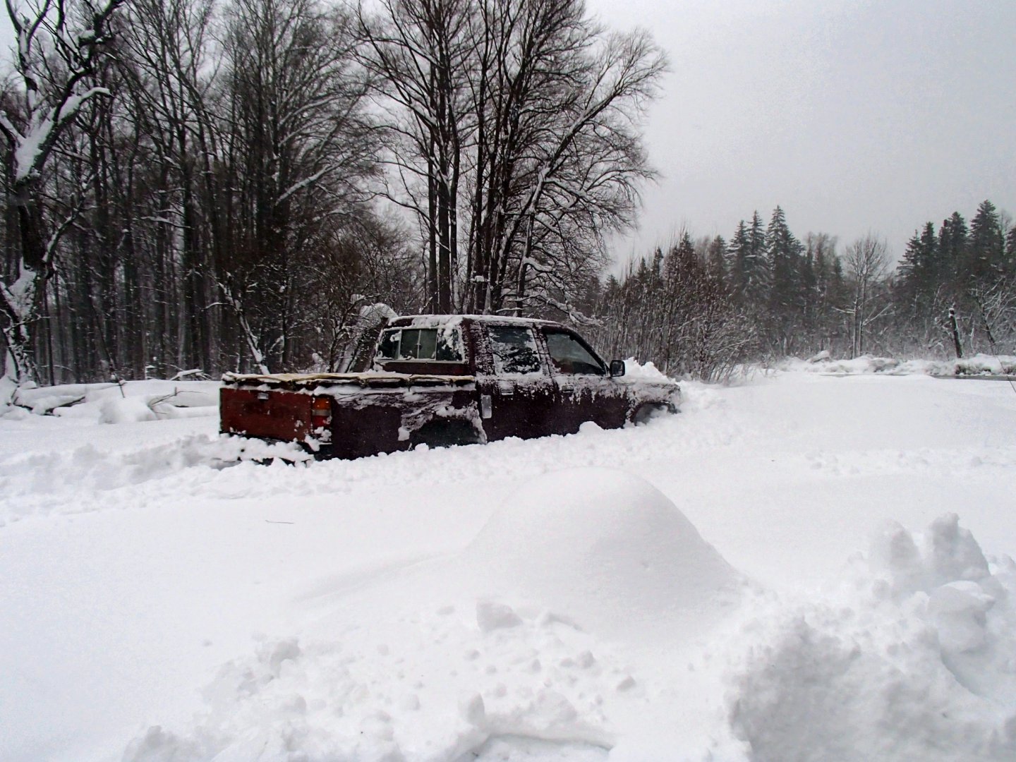 PA280029.JPG