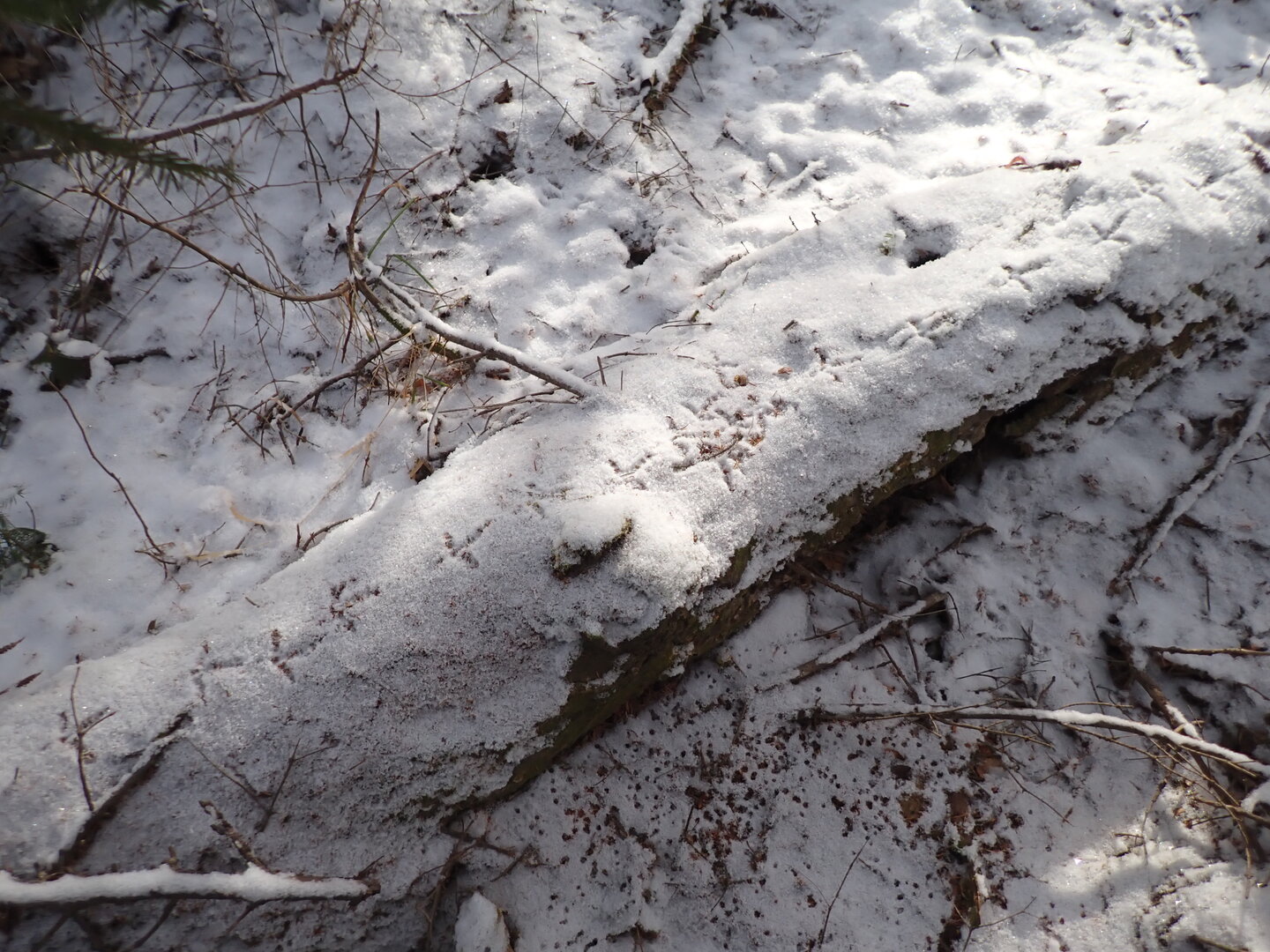 PA300262.JPG