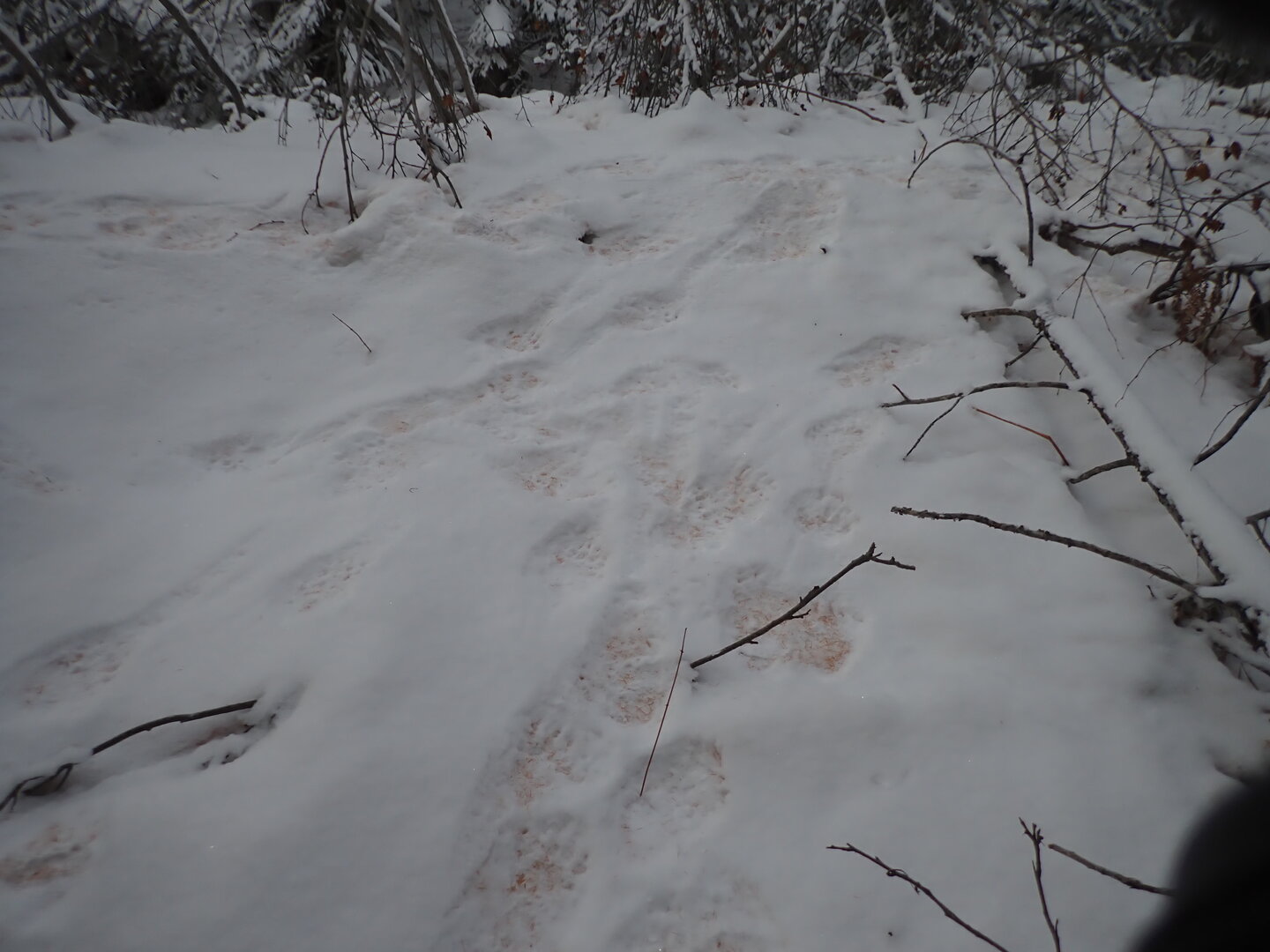 PA300264.JPG