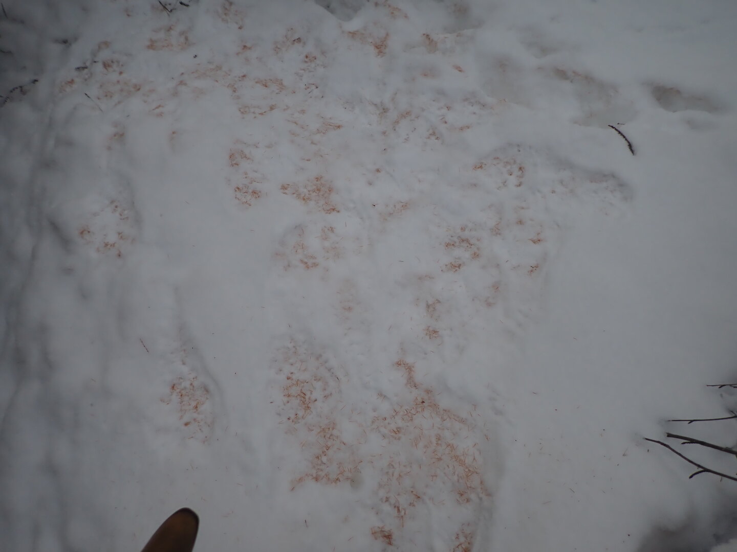 PA300265.JPG