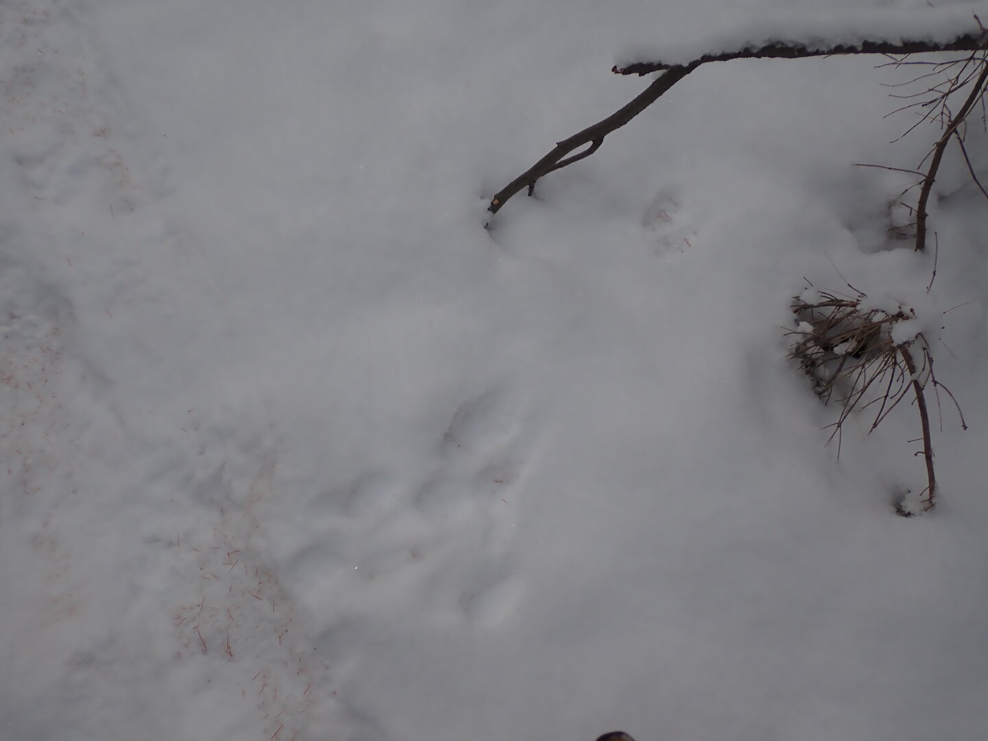 PA300266.JPG