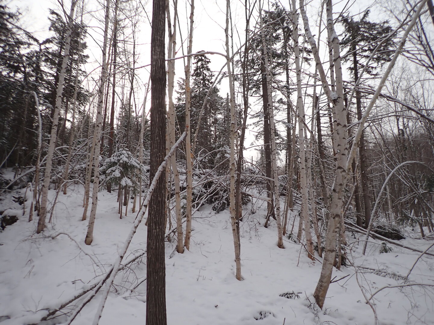 PA300268.JPG