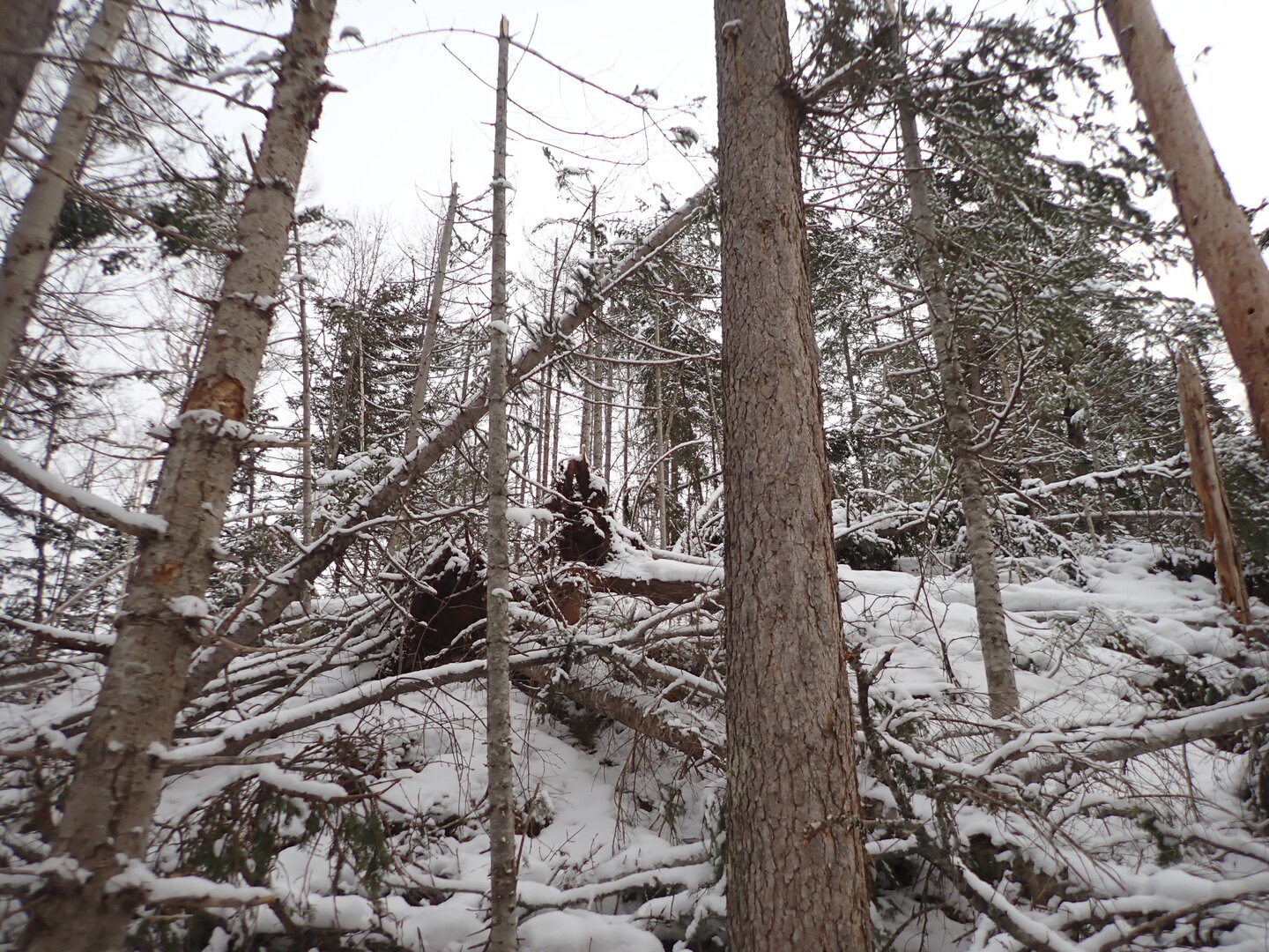 PA300270.JPG