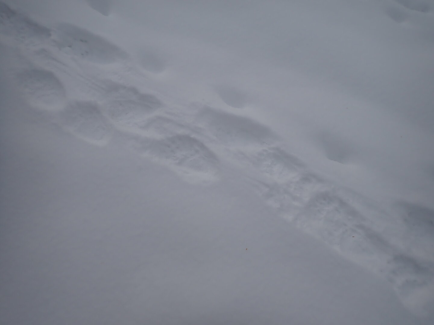 PA300272.JPG