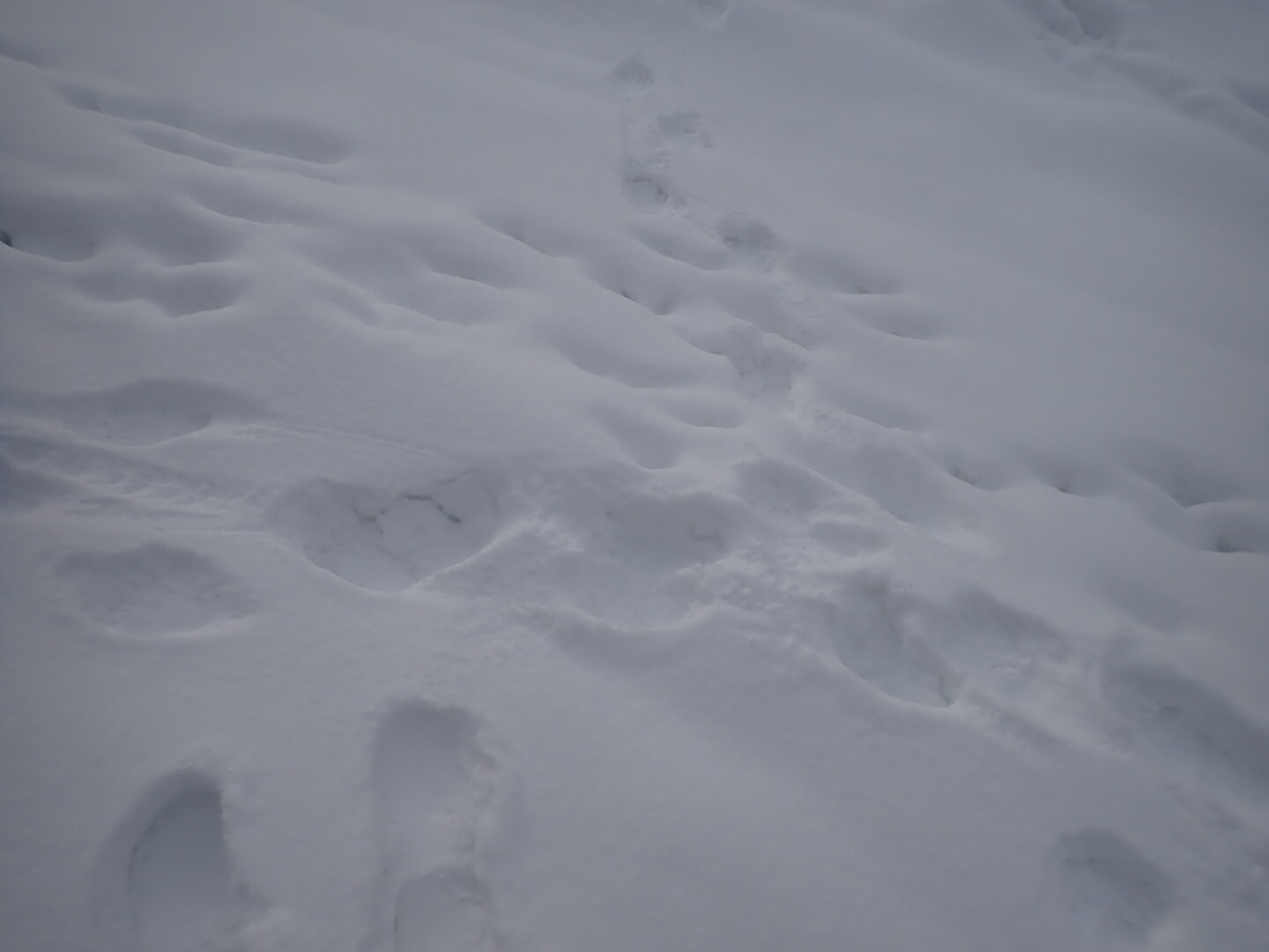 PA300273.JPG