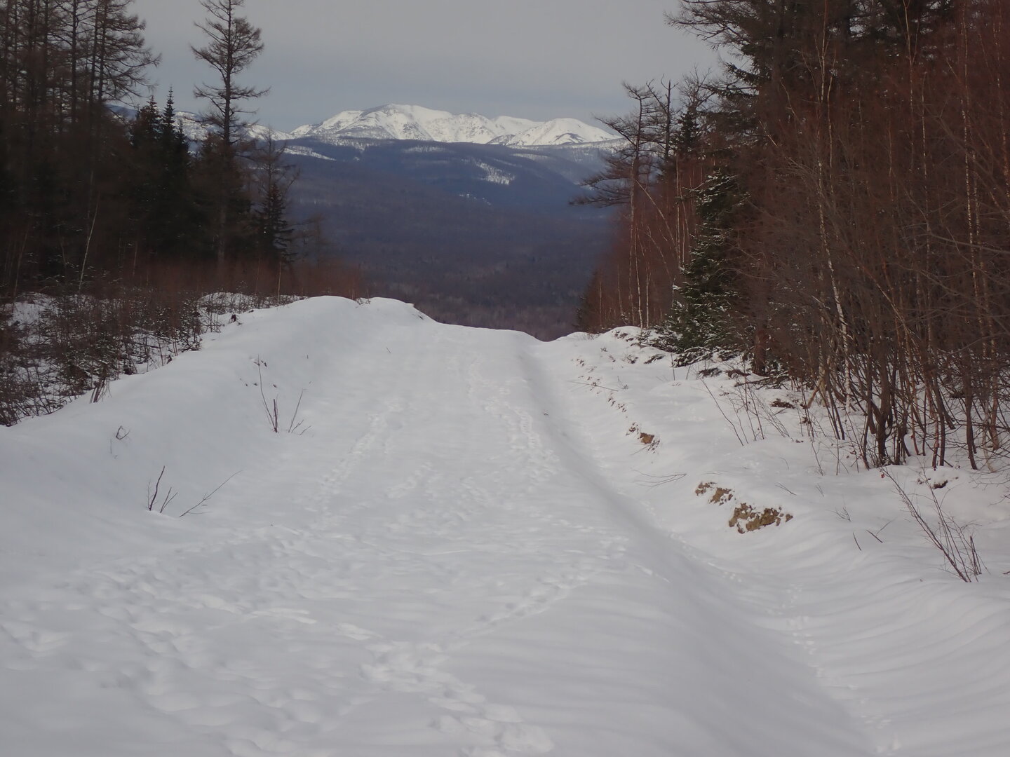 PA300274.JPG
