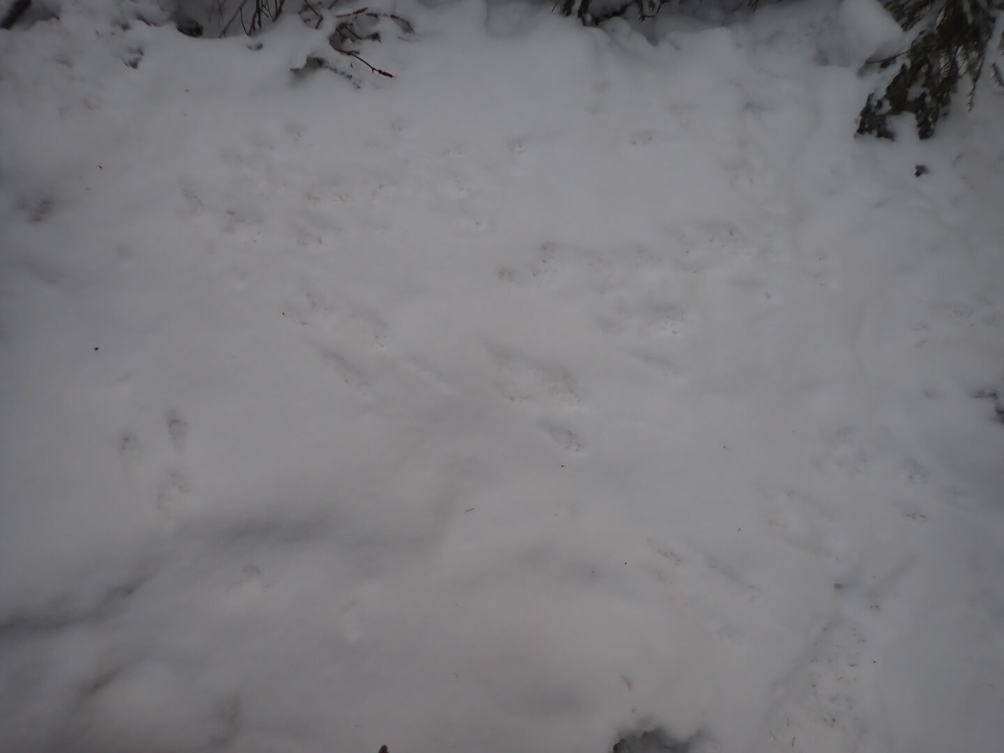 PA300276.JPG